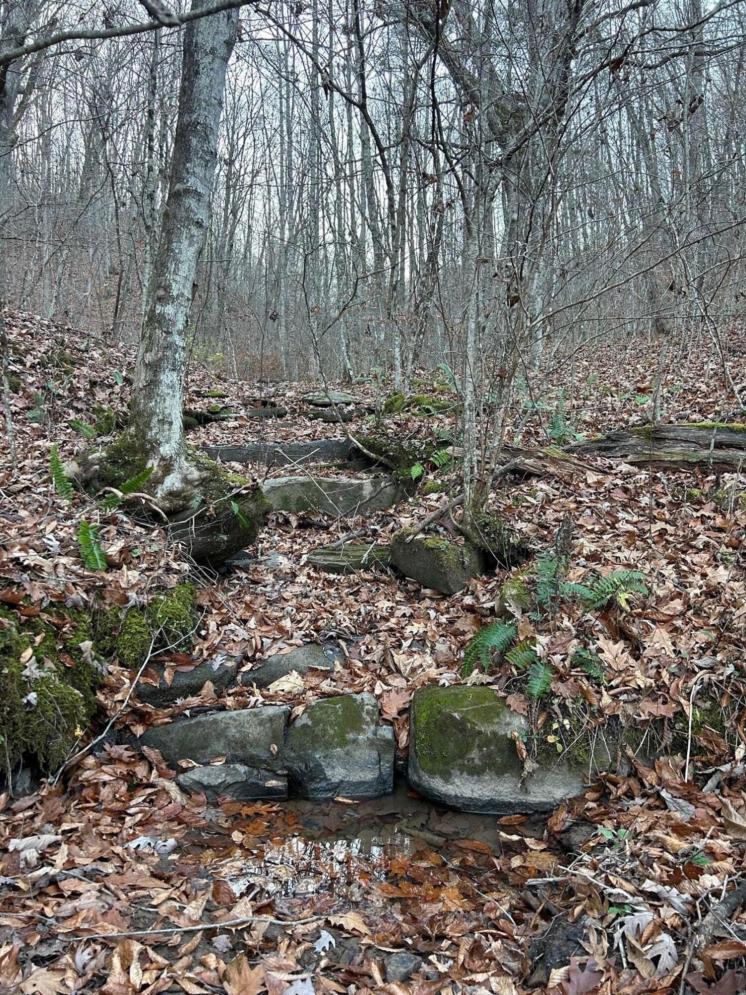 Dale Hollow Rd, Renick, West Virginia image 7