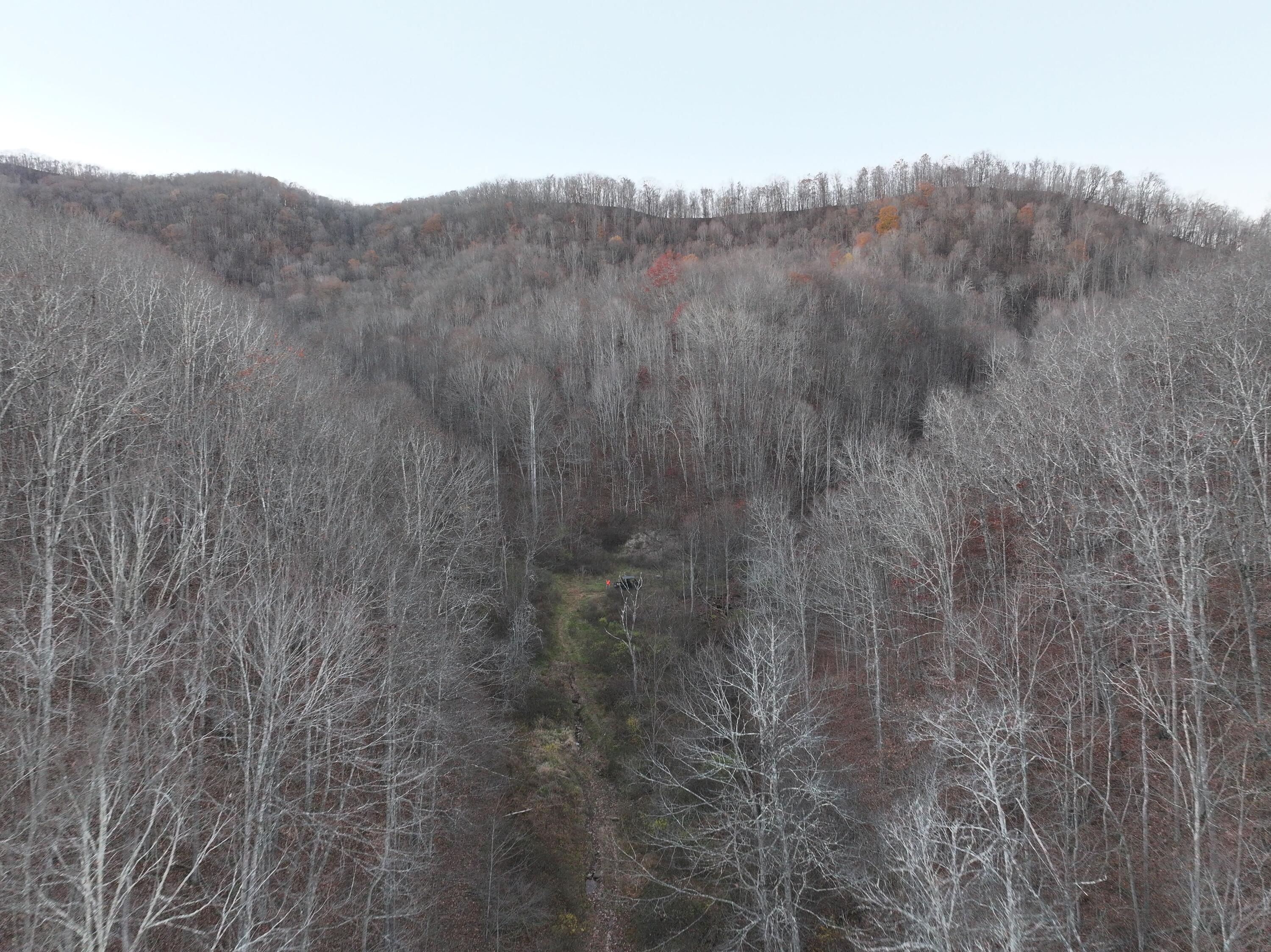 Dale Hollow Rd, Renick, West Virginia image 14