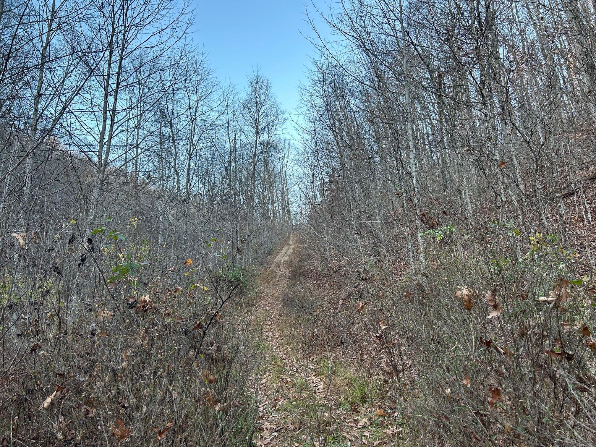 Dale Hollow Rd, Renick, West Virginia image 8