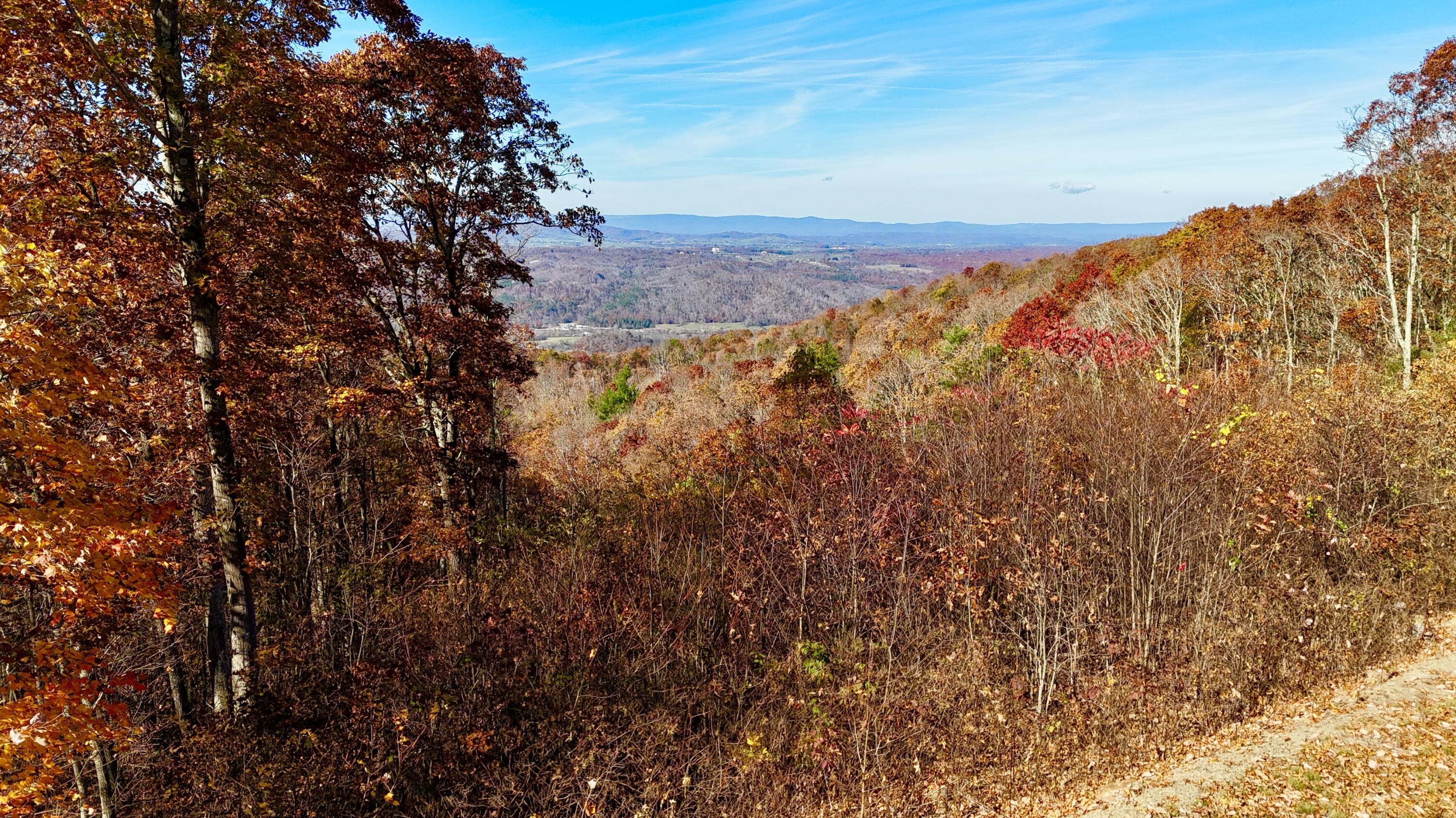 560 Withrow Lndg, Caldwell, West Virginia image 14