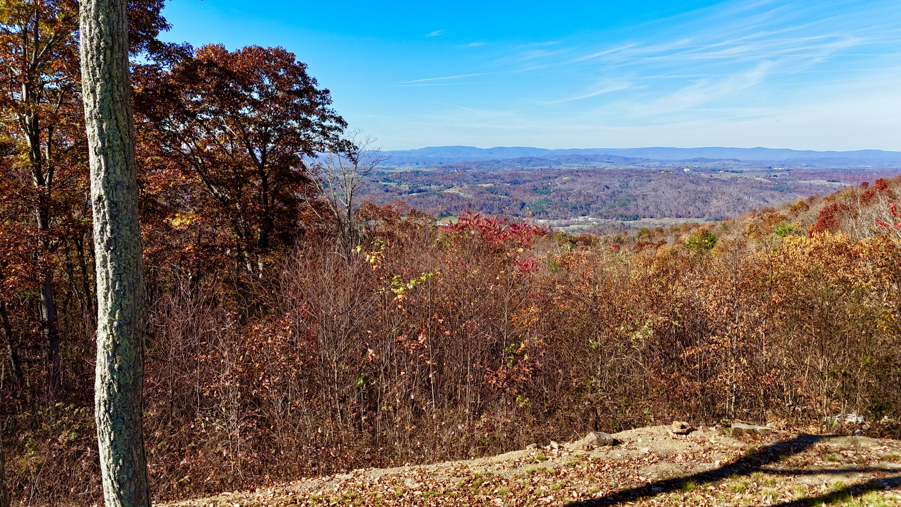 560 Withrow Lndg, Caldwell, West Virginia image 17