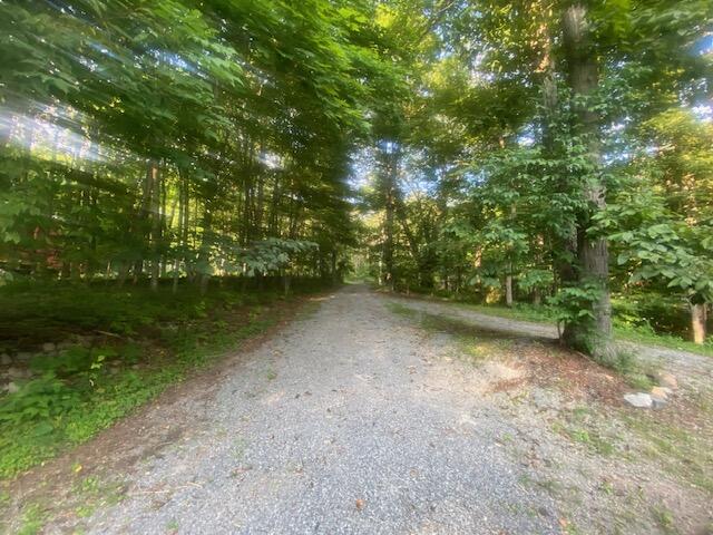 40125 Seneca Trail, Snowshoe, West Virginia image 30