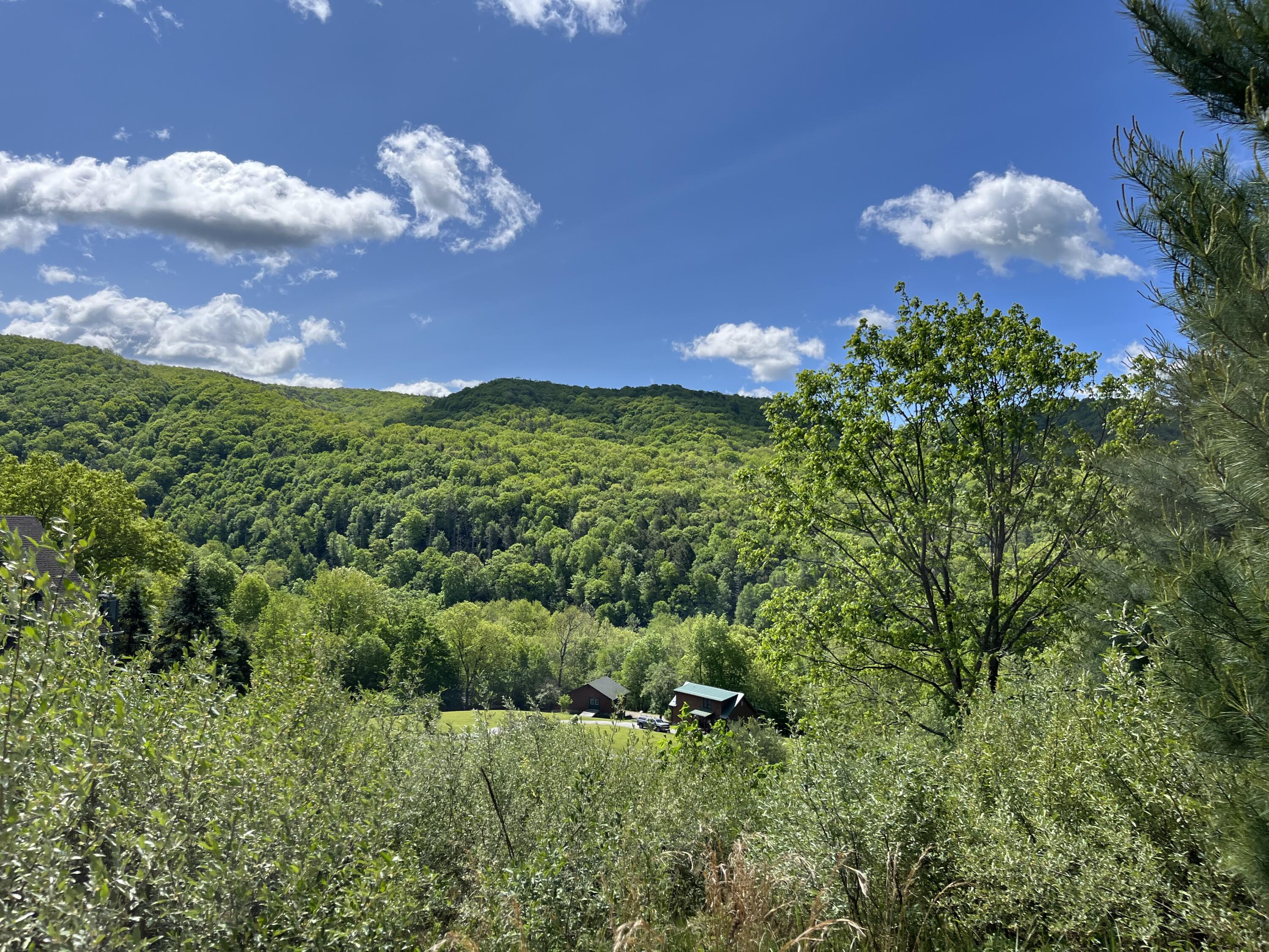 1008 Birkbeck Street, Buckeye, Pennsylvania image 1