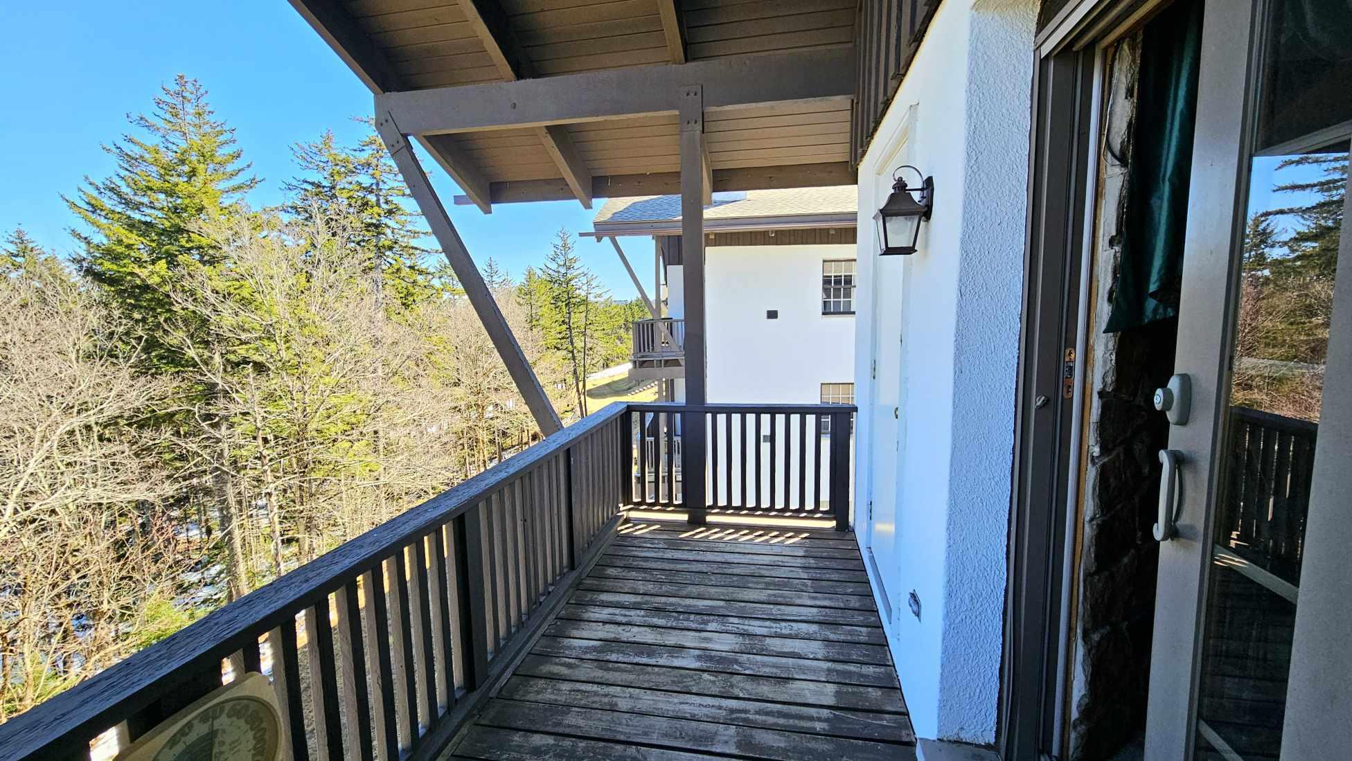 25 Whistlepunk, Snowshoe, West Virginia image 17
