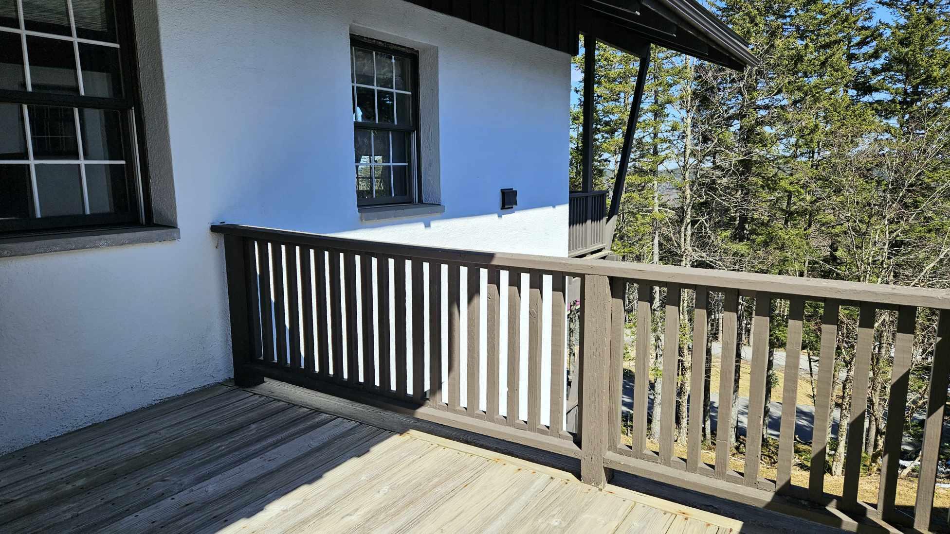 25 Whistlepunk, Snowshoe, West Virginia image 2