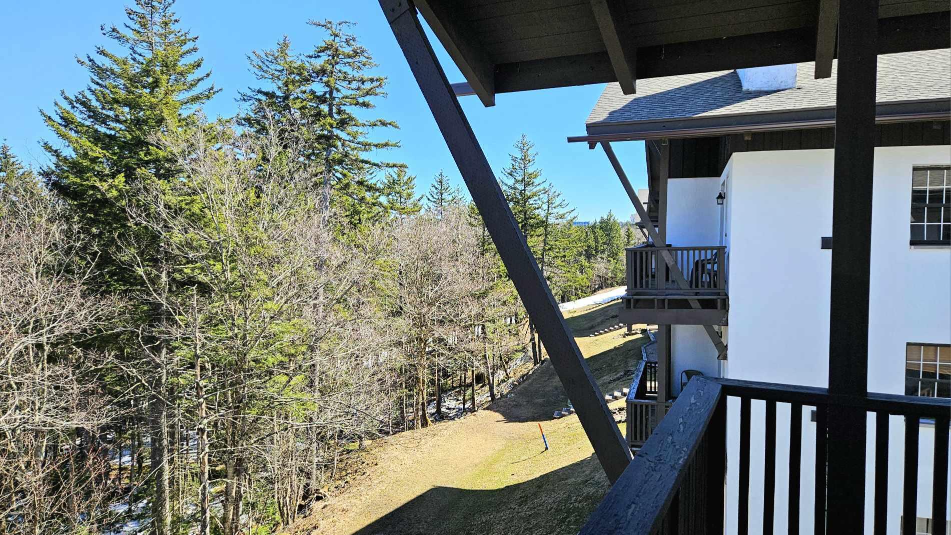 25 Whistlepunk, Snowshoe, West Virginia image 20