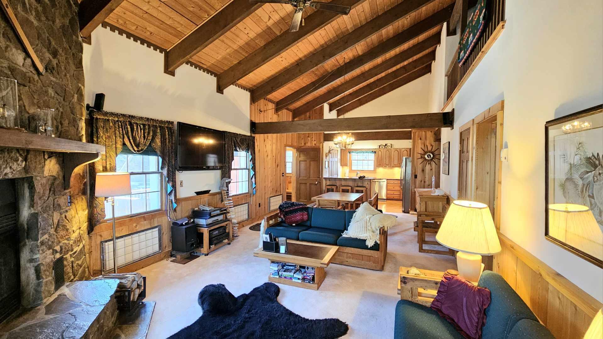25 Whistlepunk, Snowshoe, West Virginia image 16
