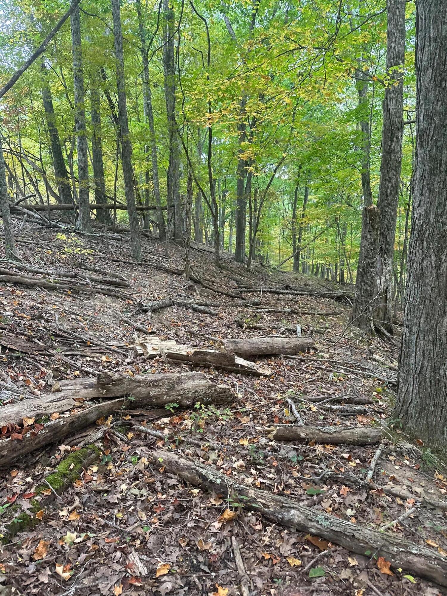 Horseshoe Bend Road, Ronceverte, West Virginia image 5