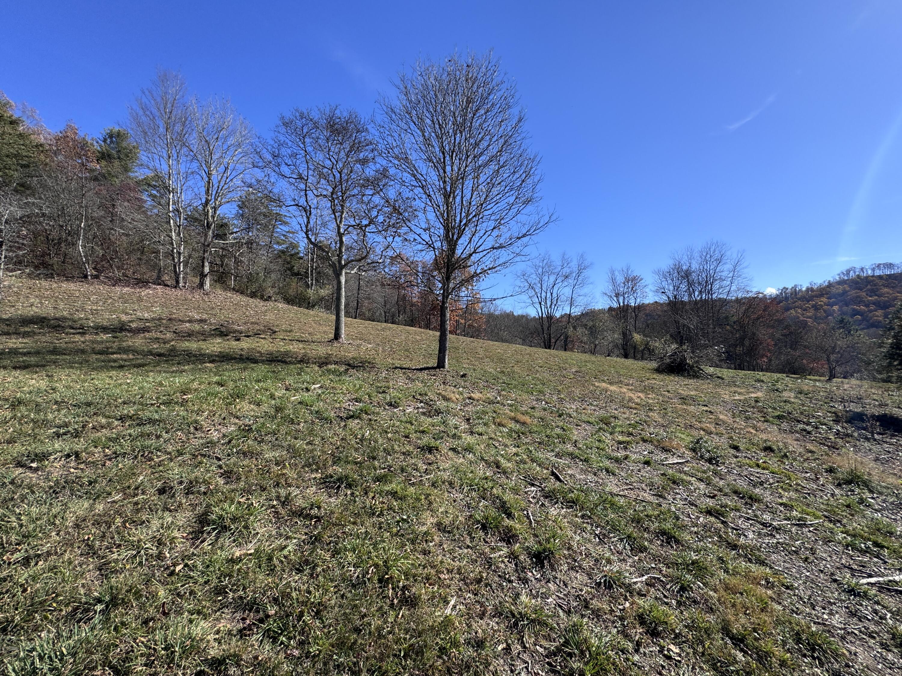 Cold Hollow Rd, Rainelle, West Virginia image 6