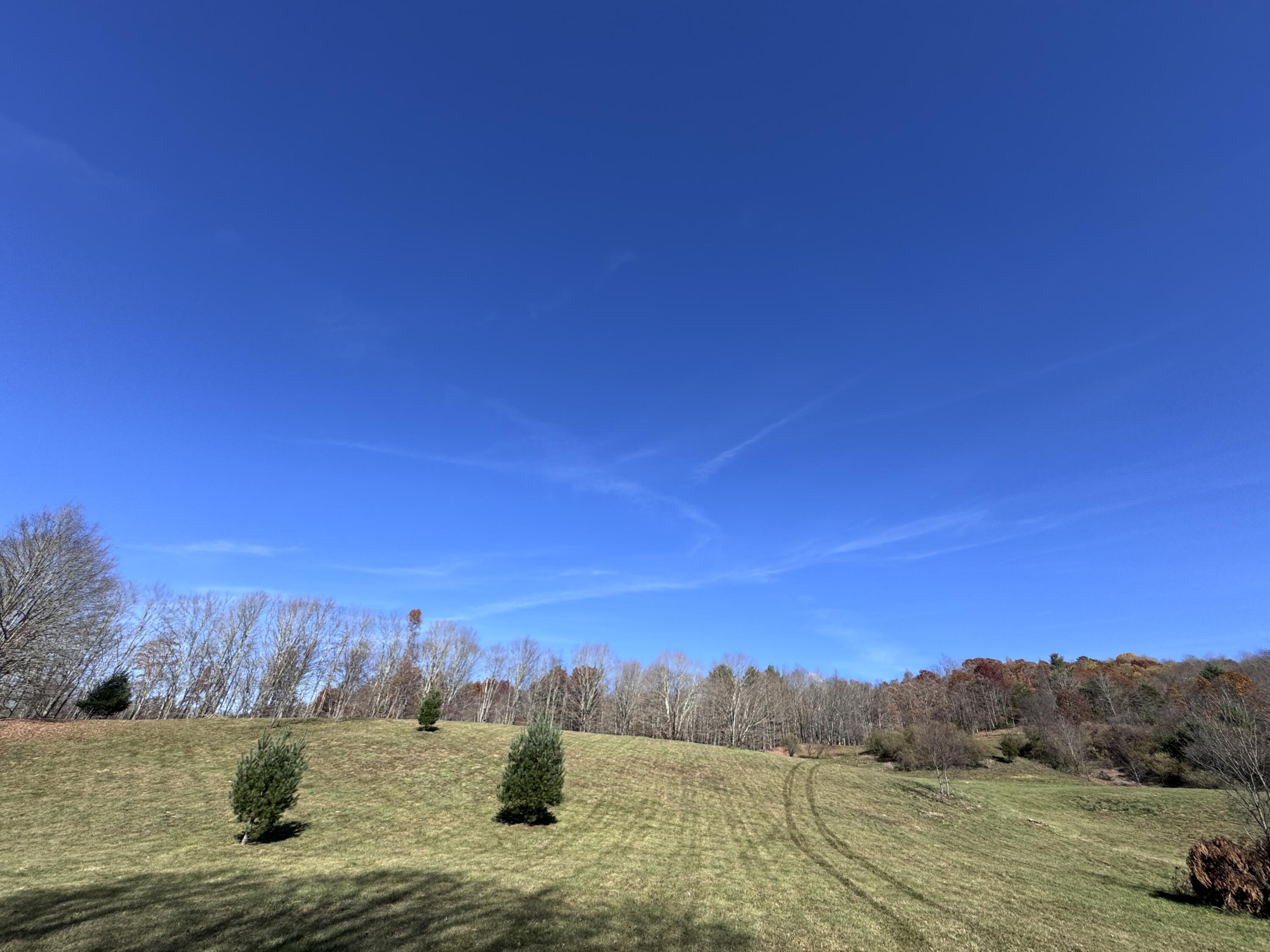 Cold Hollow Rd, Rainelle, West Virginia image 12