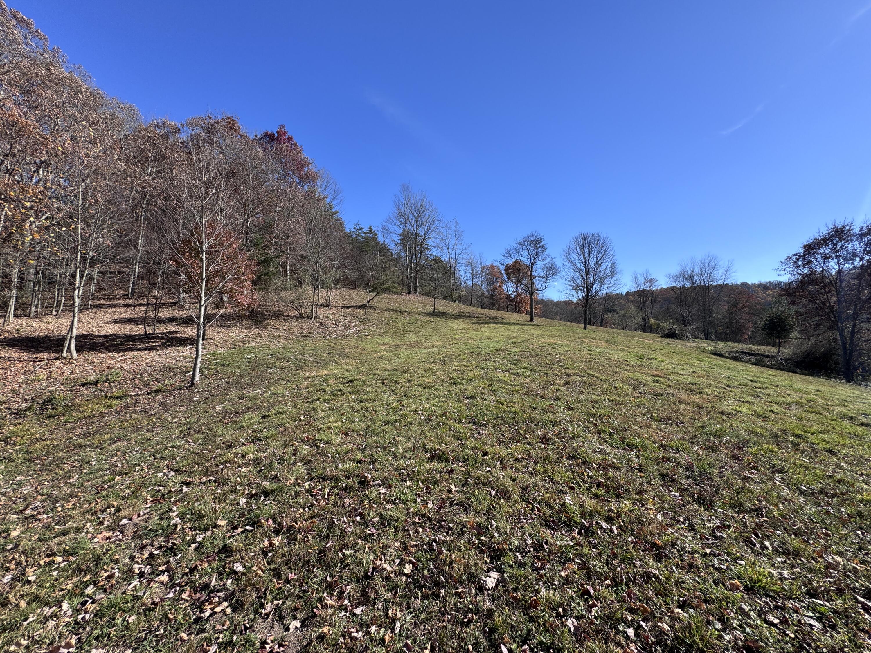 Cold Hollow Rd, Rainelle, West Virginia image 10