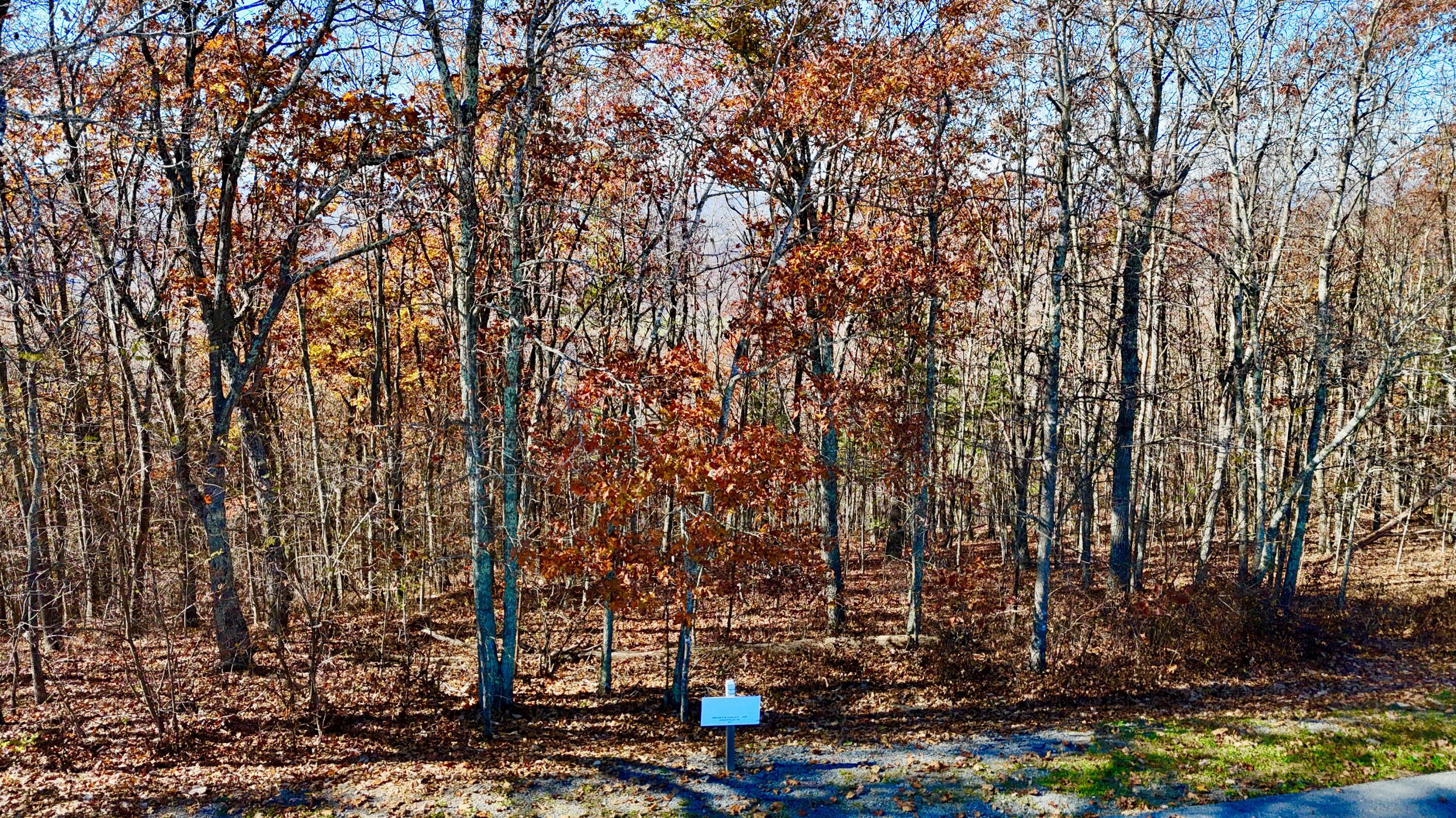 Lot 97 S White Rock Trail, Caldwell, West Virginia image 19