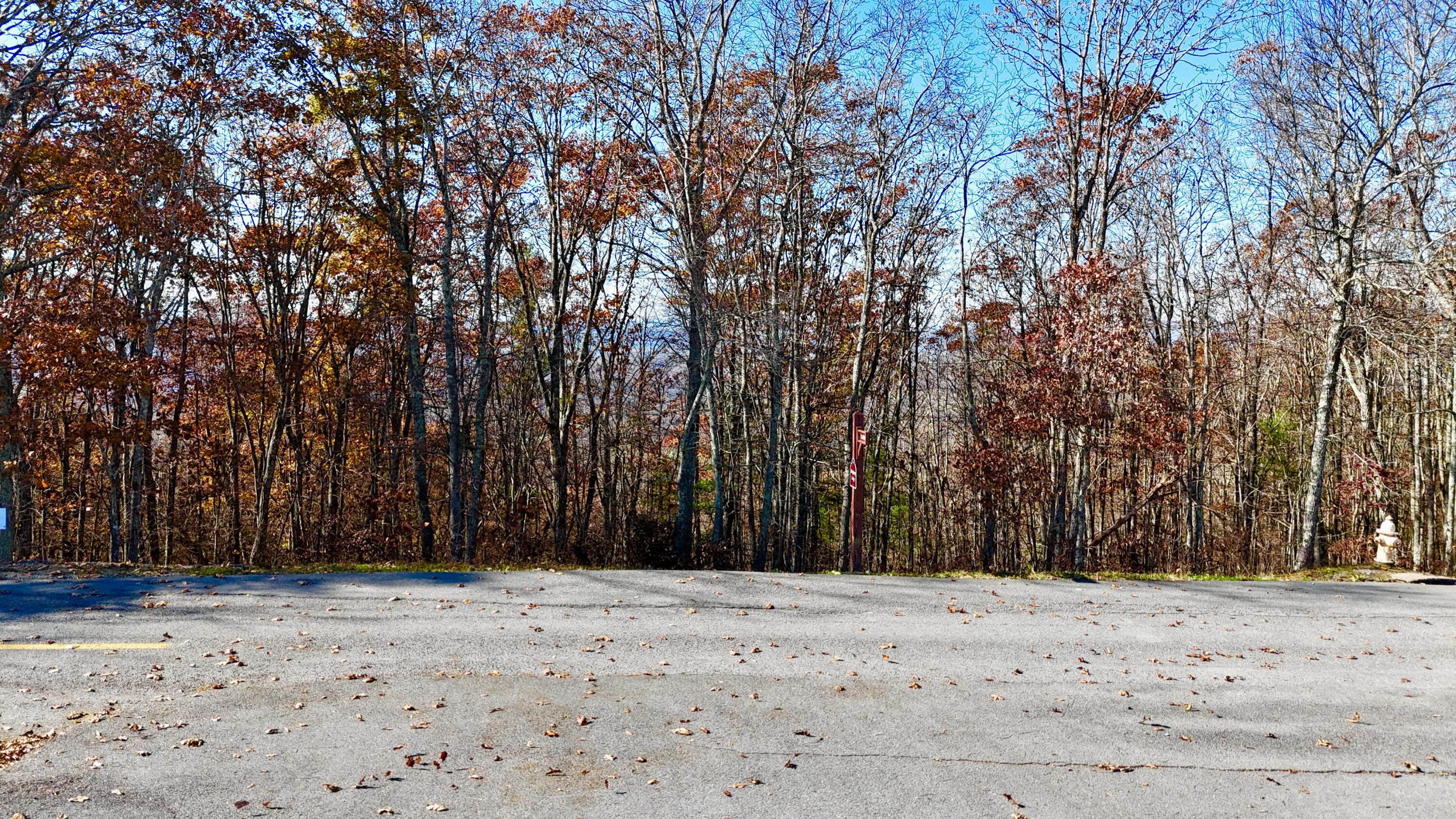 Lot 97 S White Rock Trail, Caldwell, West Virginia image 8