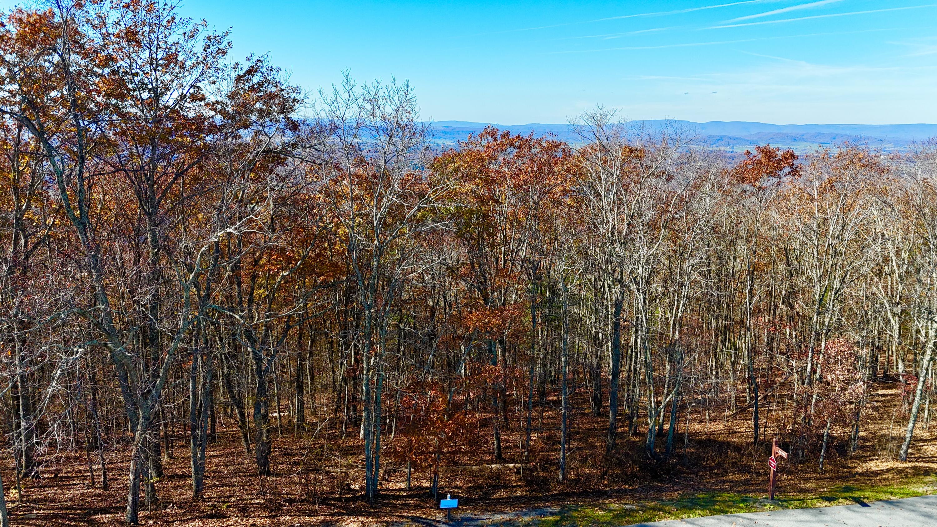 Lot 97 S White Rock Trail, Caldwell, West Virginia image 7