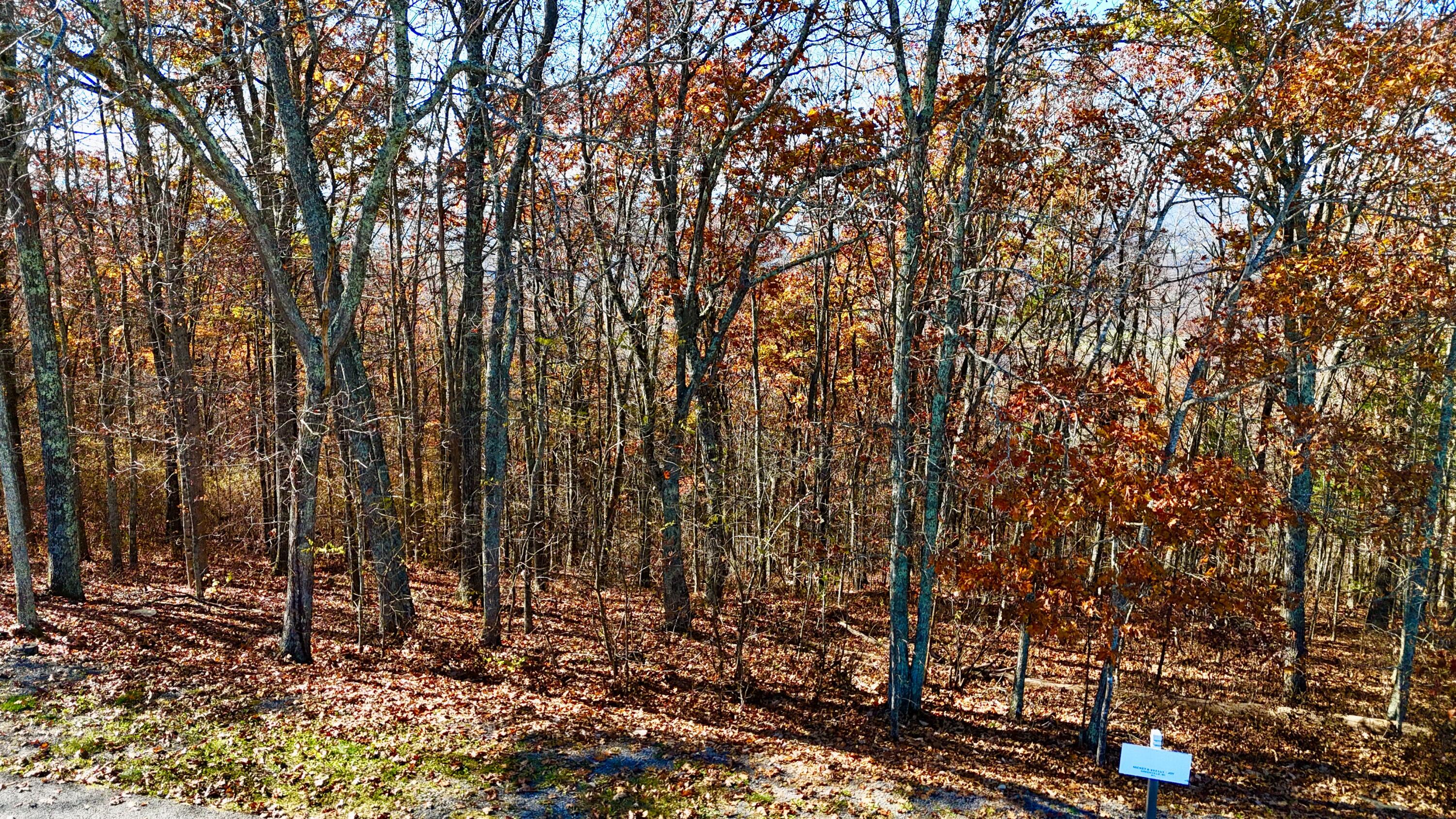 Lot 97 S White Rock Trail, Caldwell, West Virginia image 20