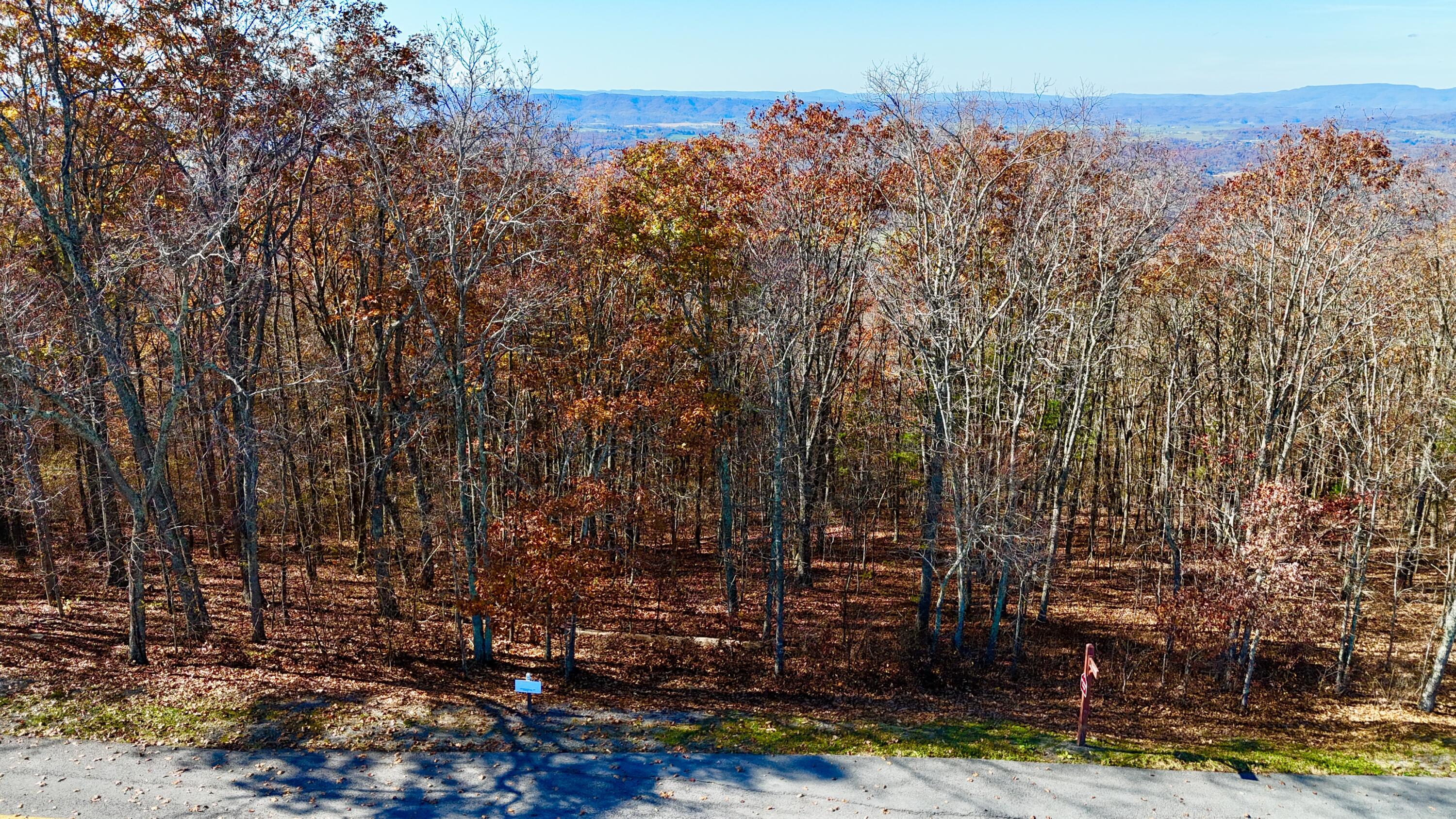 Lot 97 S White Rock Trail, Caldwell, West Virginia image 14