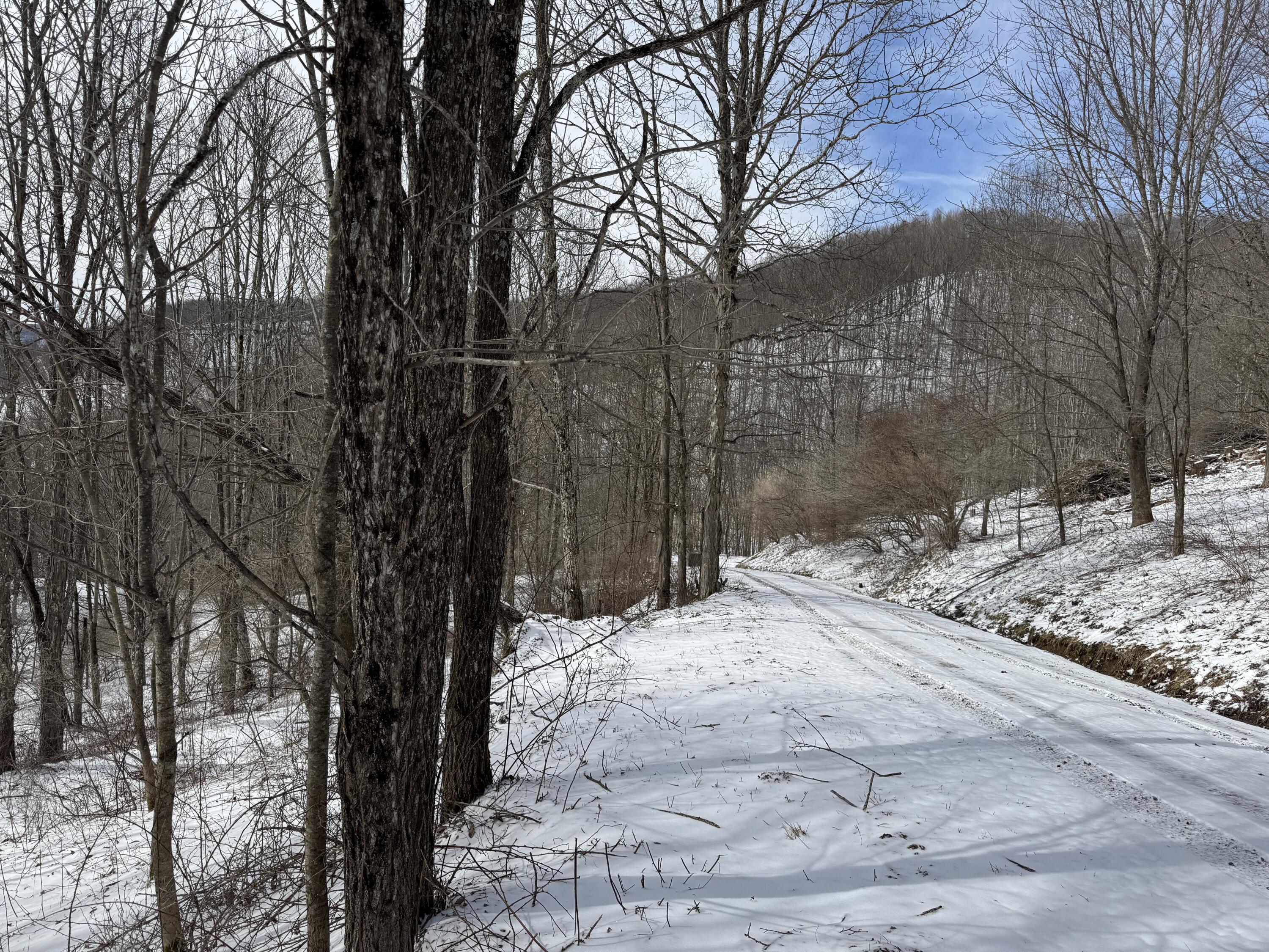346 E Tract 3 Big Spring Of Elk, Street #HEADWATER, Slatyfork, West Virginia image 3