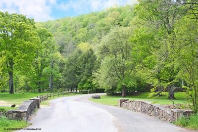 26 Hawthorne Valley #62, Snowshoe, West Virginia image 2