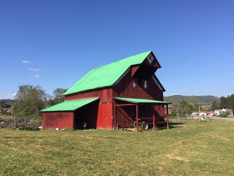 Vacant Land For Sale - Rt 219<br/> Renick, WV 24966