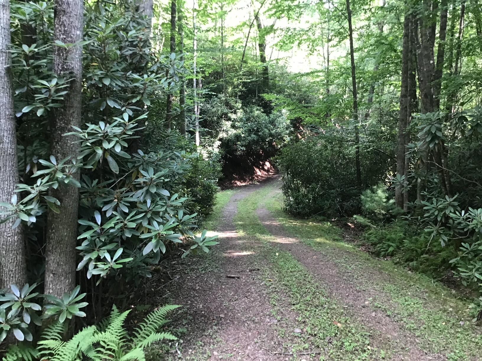 Duncans Landing, Buckeye, West Virginia image 1