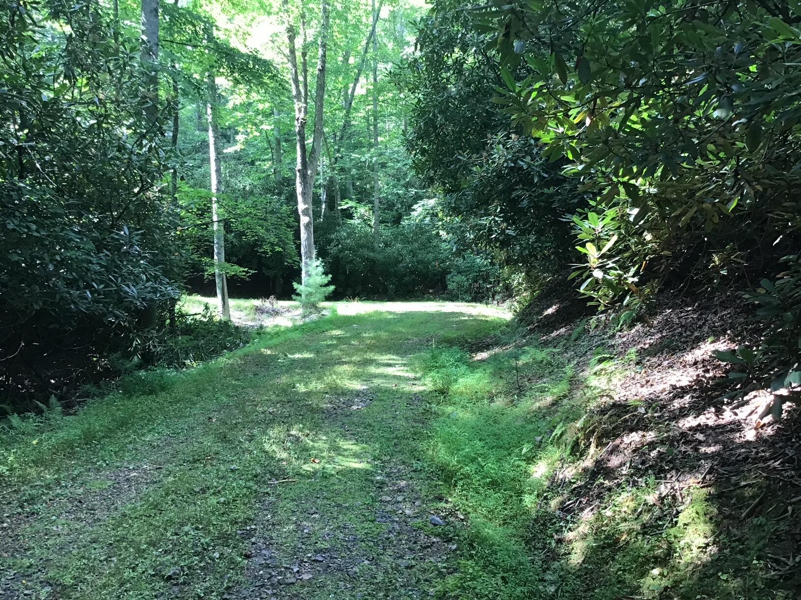 Duncans Landing, Buckeye, West Virginia image 3