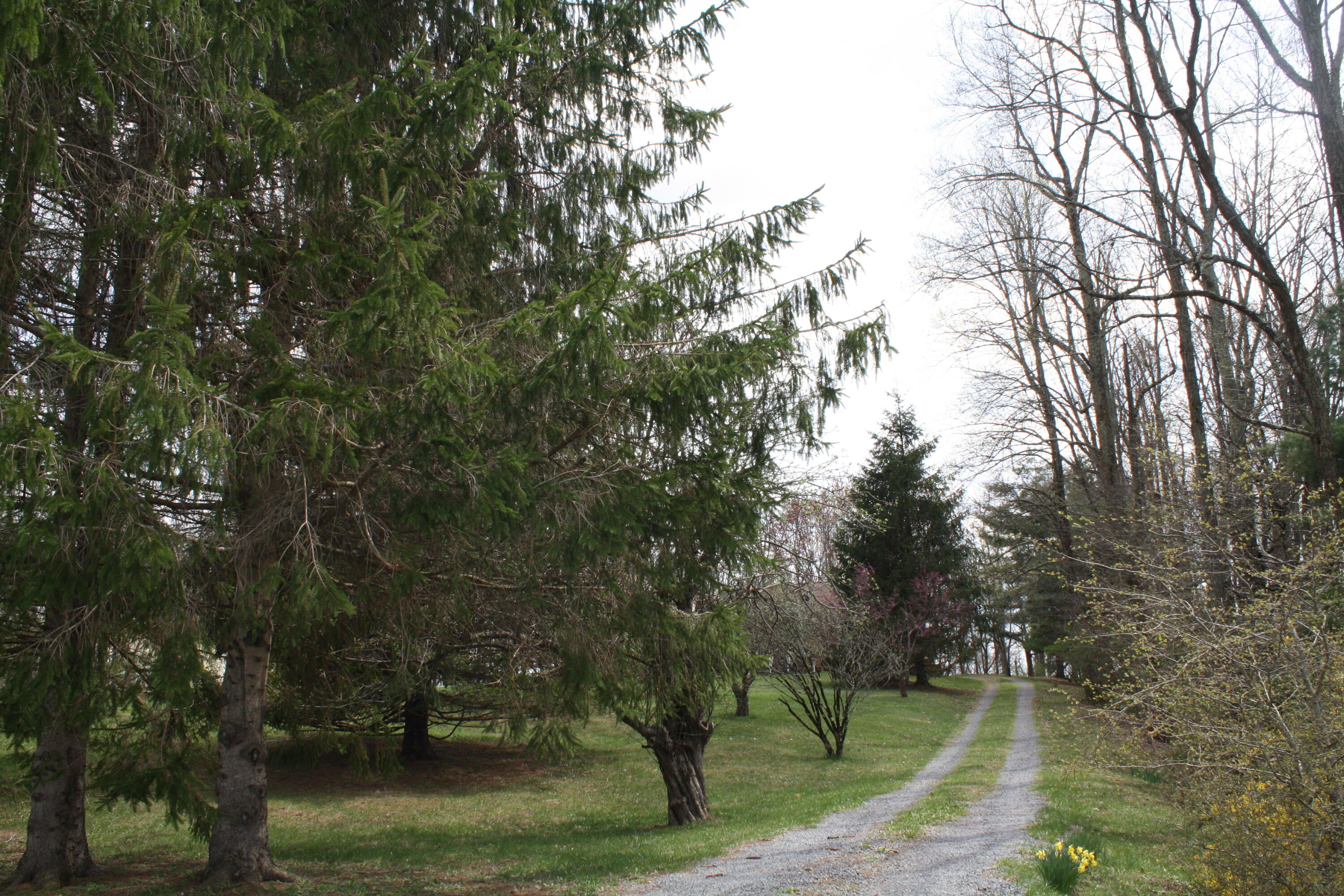 4284 Elk Knob Rd, Hinton, West Virginia image 42
