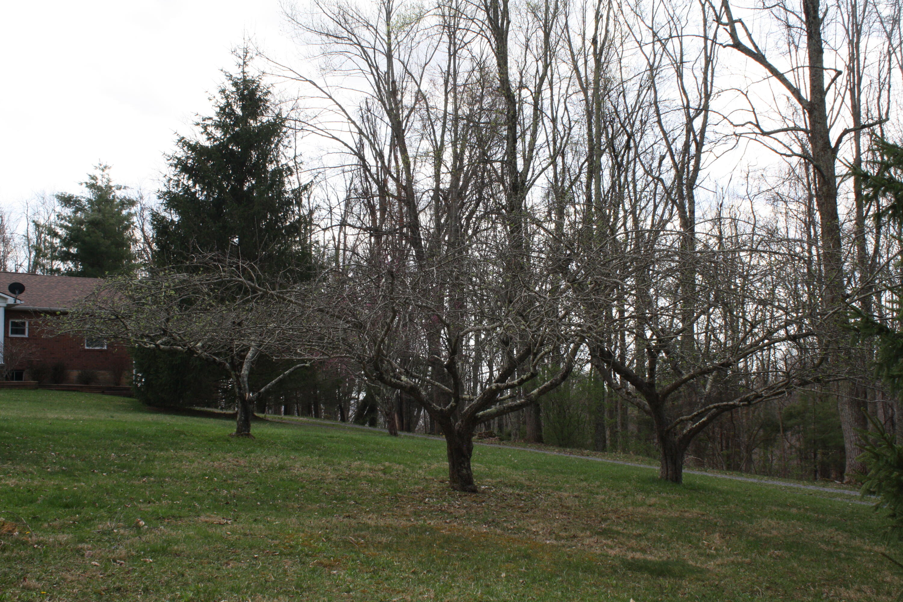 4284 Elk Knob Rd, Hinton, West Virginia image 44