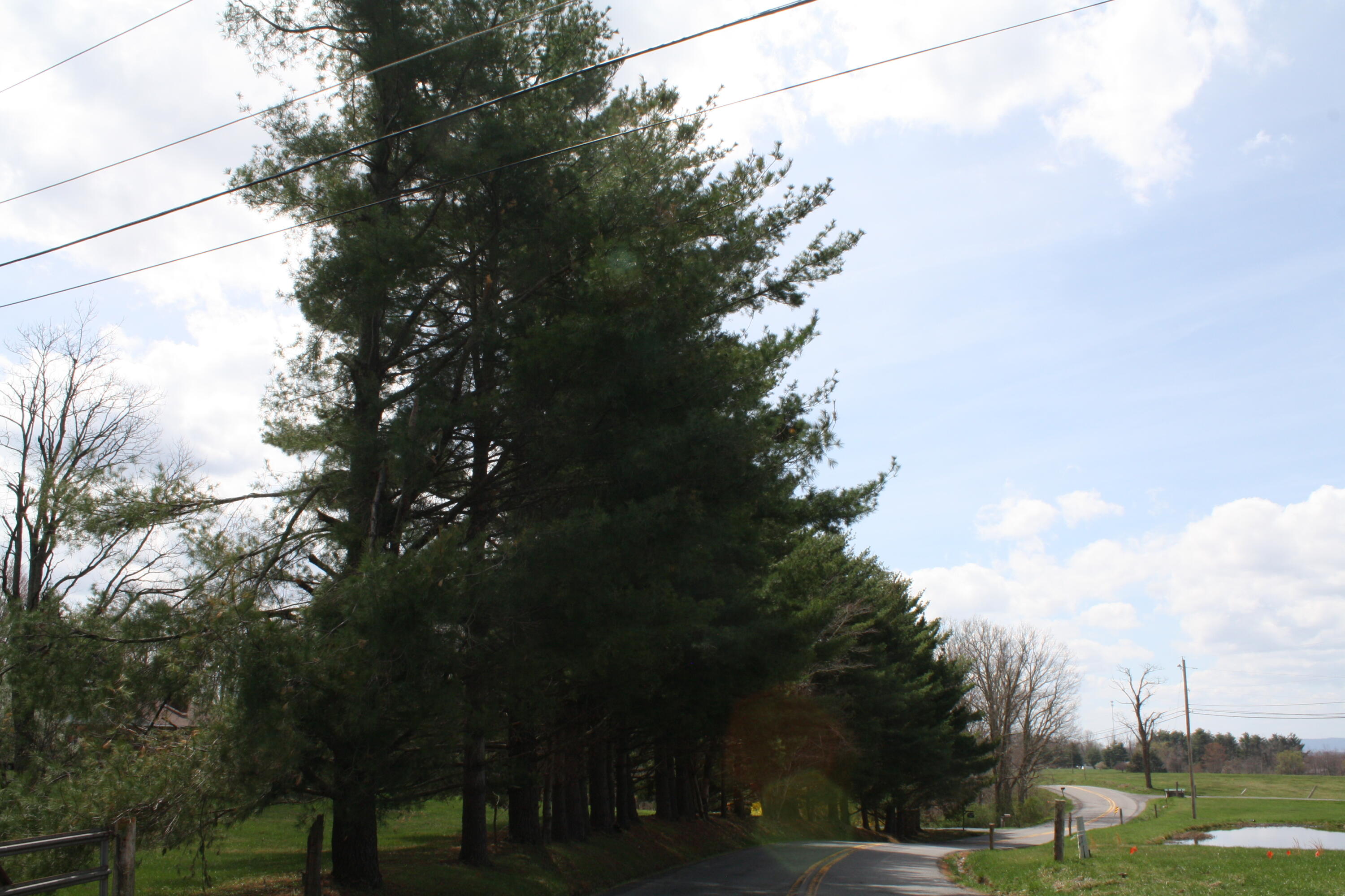 4284 Elk Knob Rd, Hinton, West Virginia image 45