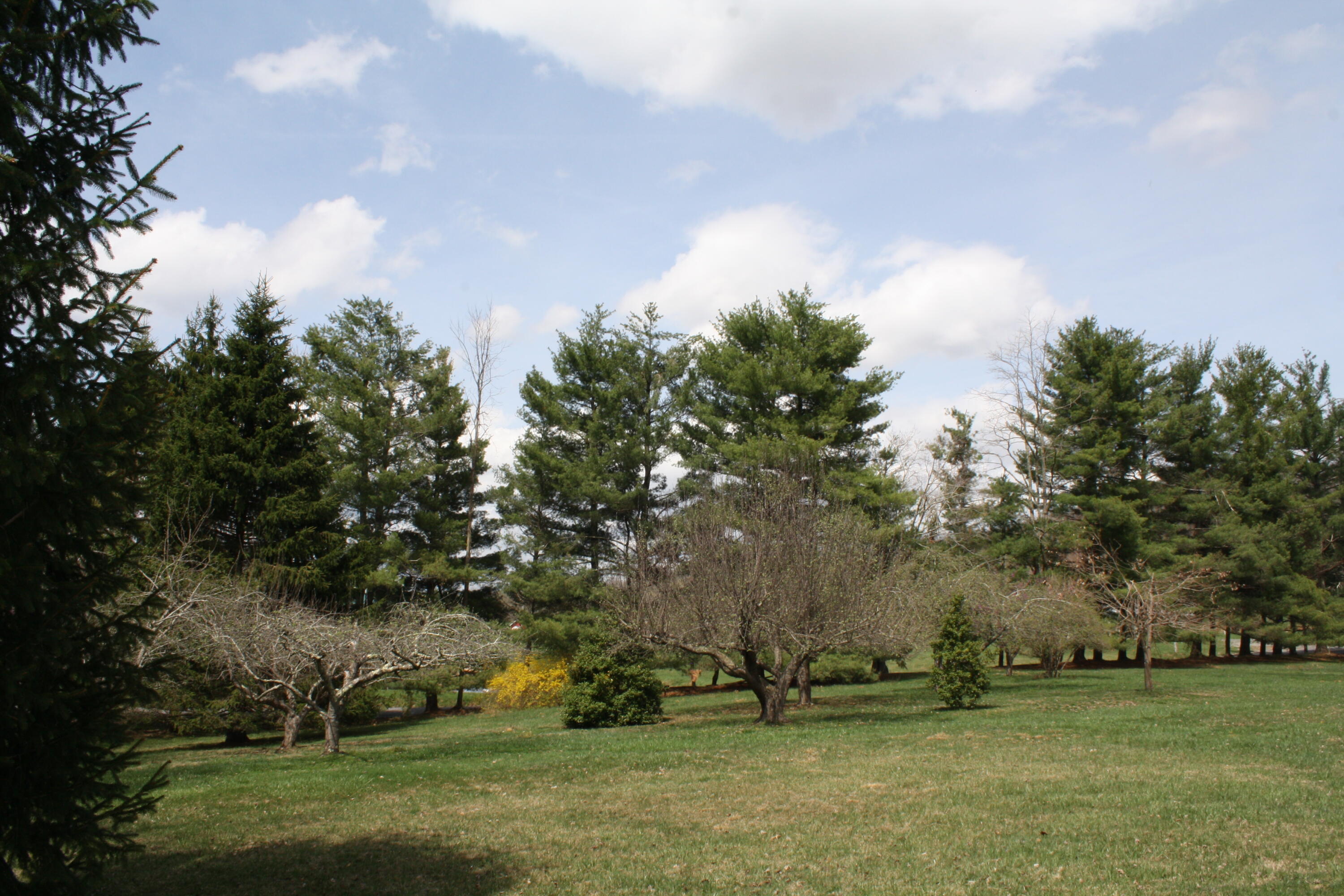 4284 Elk Knob Rd, Hinton, West Virginia image 47