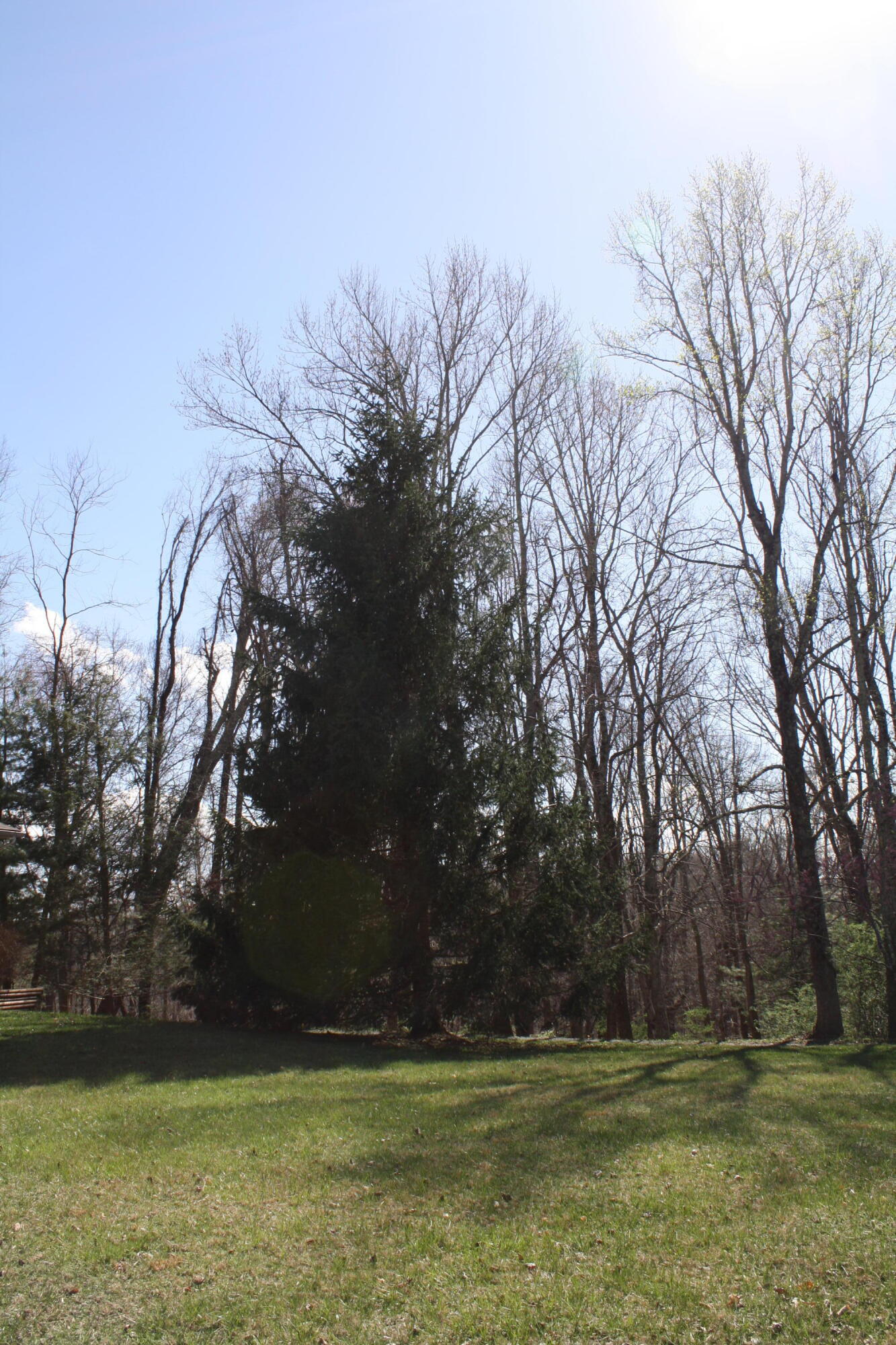 4284 Elk Knob Rd, Hinton, West Virginia image 49