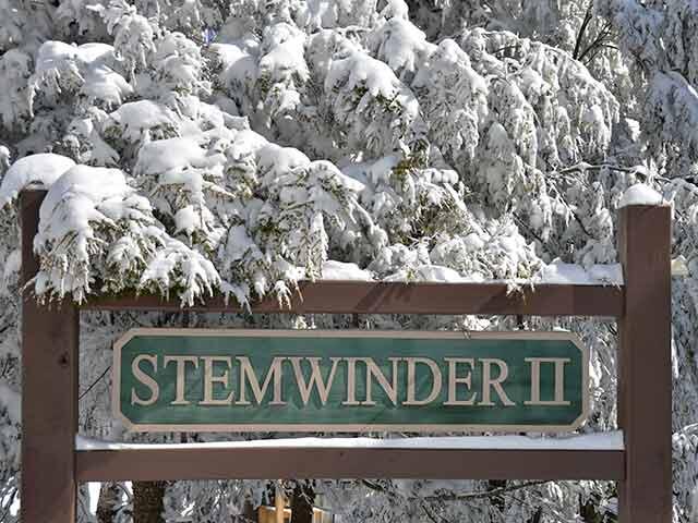 8 Stemwinder Ii Avenue, Snowshoe, West Virginia image 41