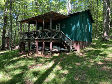 Homes For Sale - LOT 1A1B Bear Trak Road<br/> Gap Mills, WV 24941