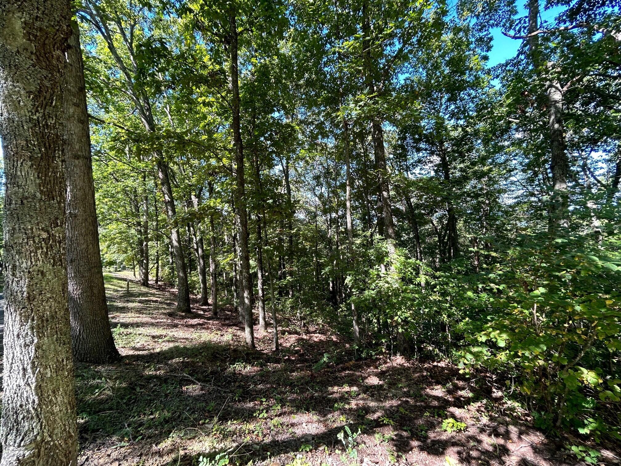 Lot 22 Horizon Parkway, The Retreat #22, Caldwell, West Virginia image 3