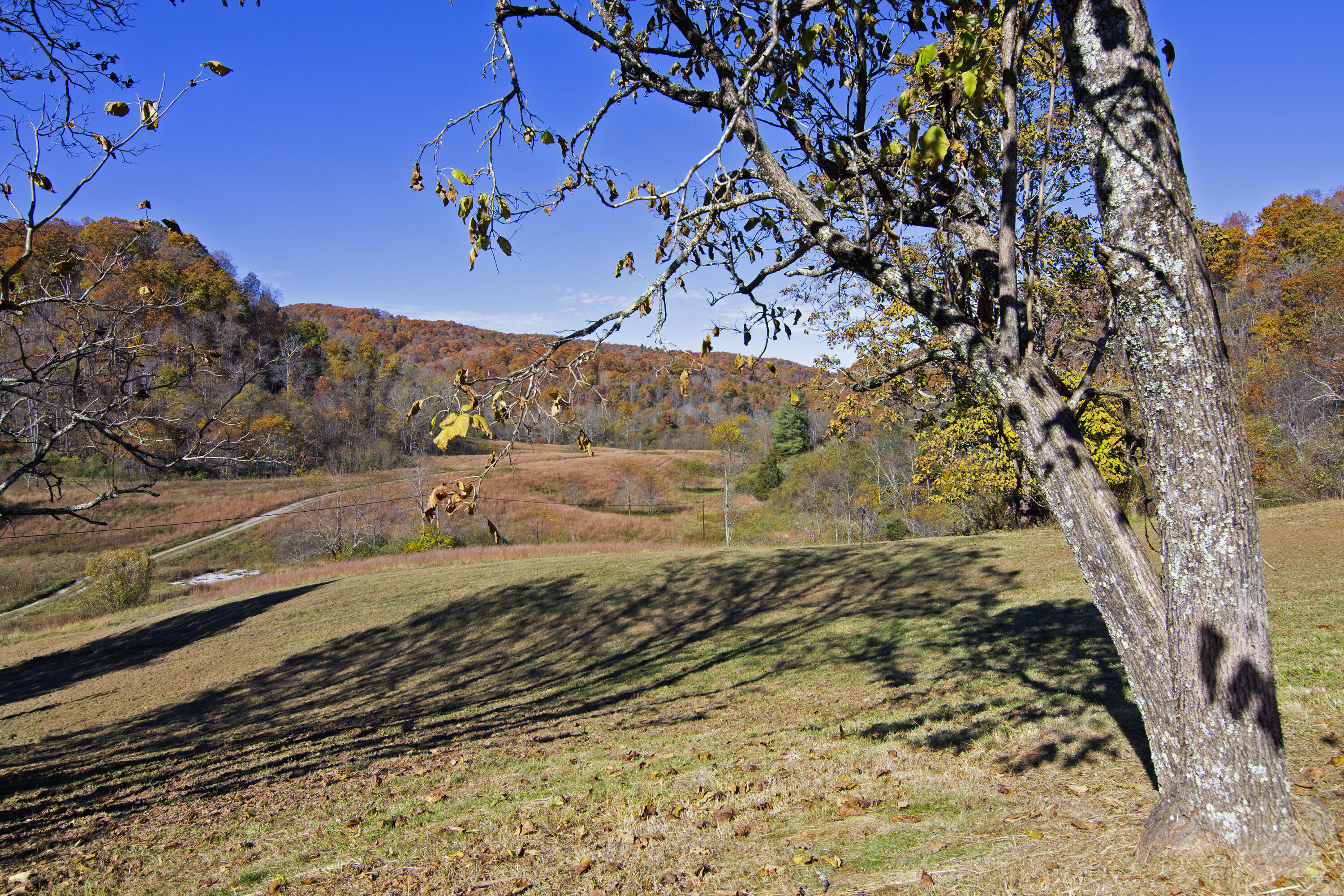 3715 Unus Rd, Lewisburg, West Virginia image 14