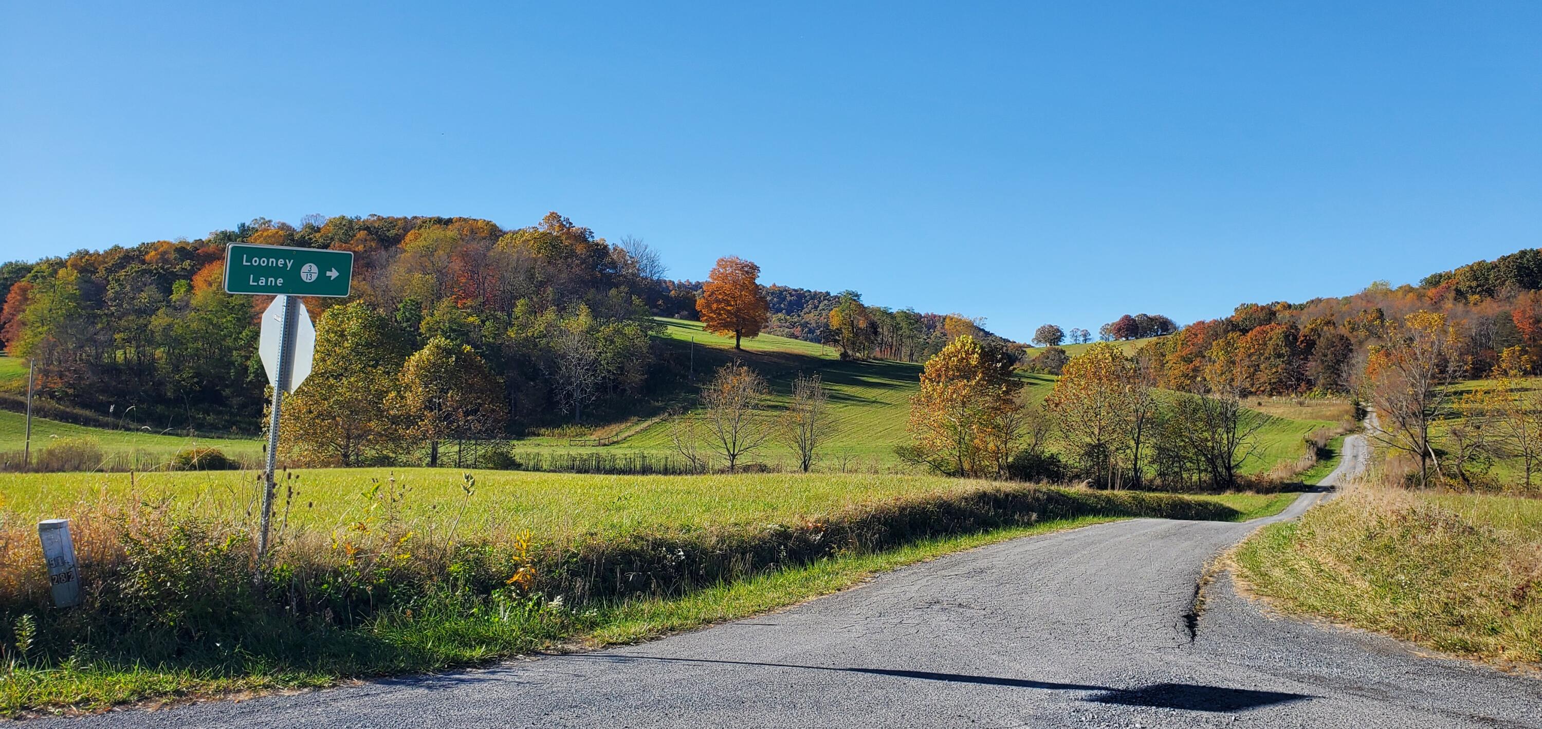 1500 Mountain Valley Rd, Gap Mills, West Virginia image 7