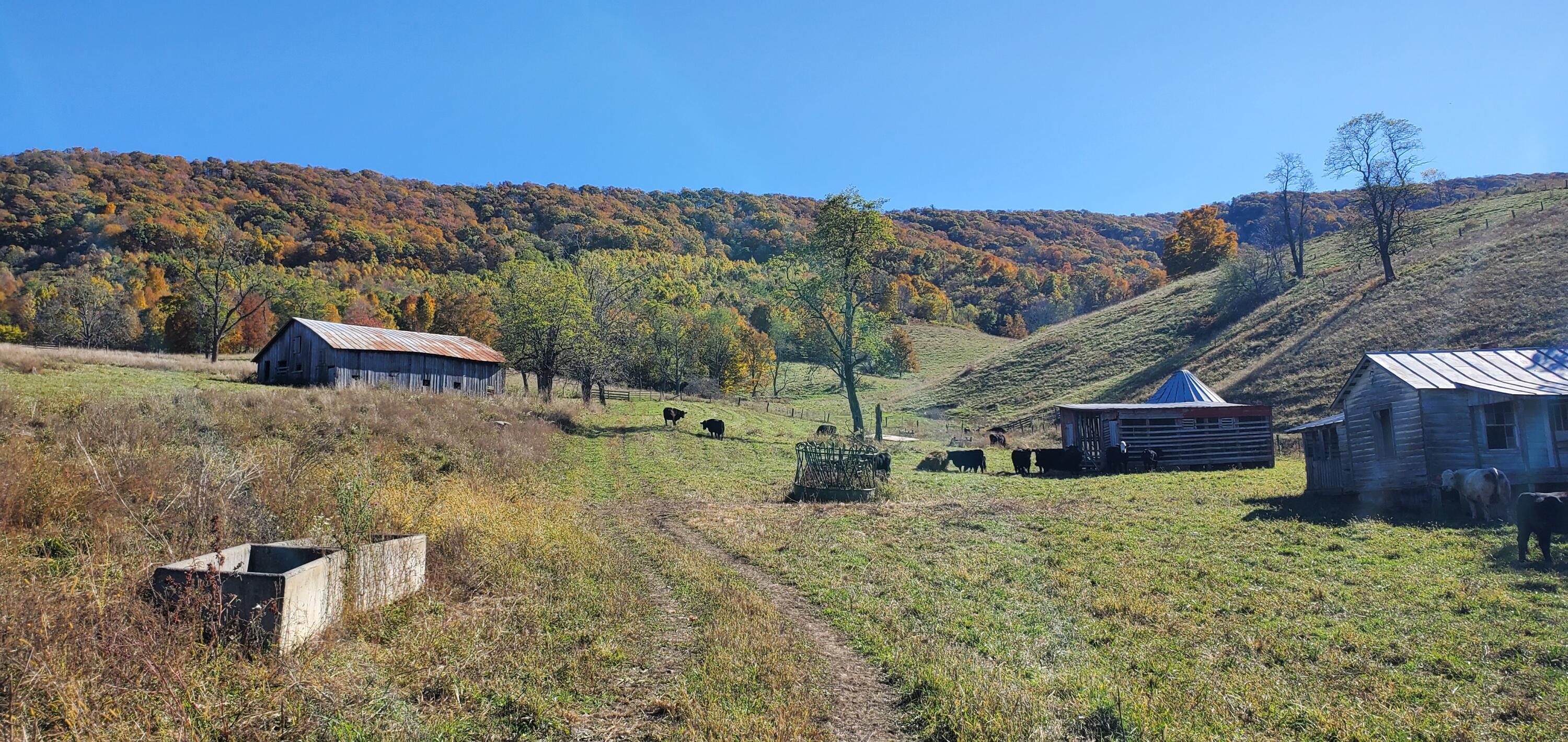 1500 Mountain Valley Rd, Gap Mills, West Virginia image 29