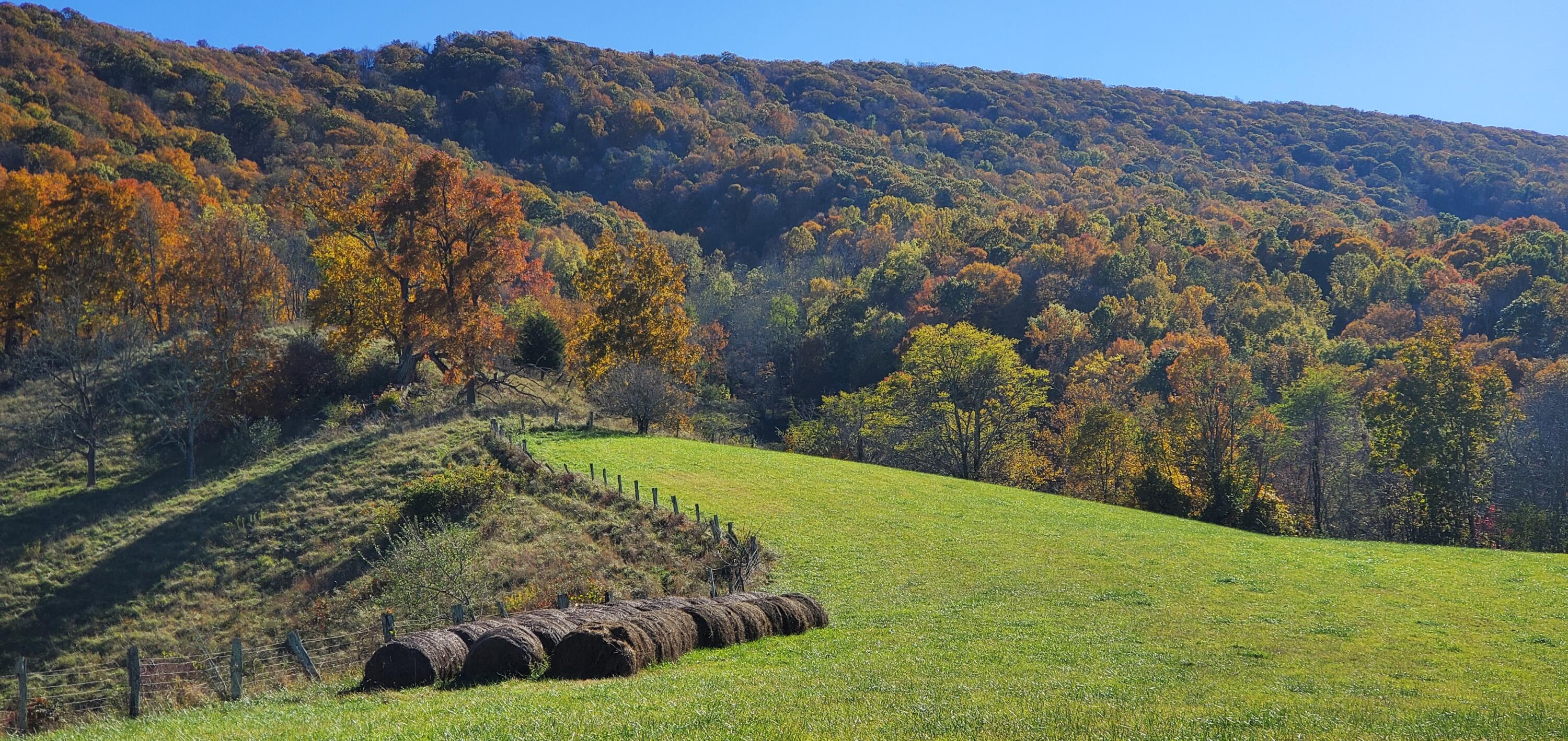 1500 Mountain Valley Rd, Gap Mills, West Virginia image 10