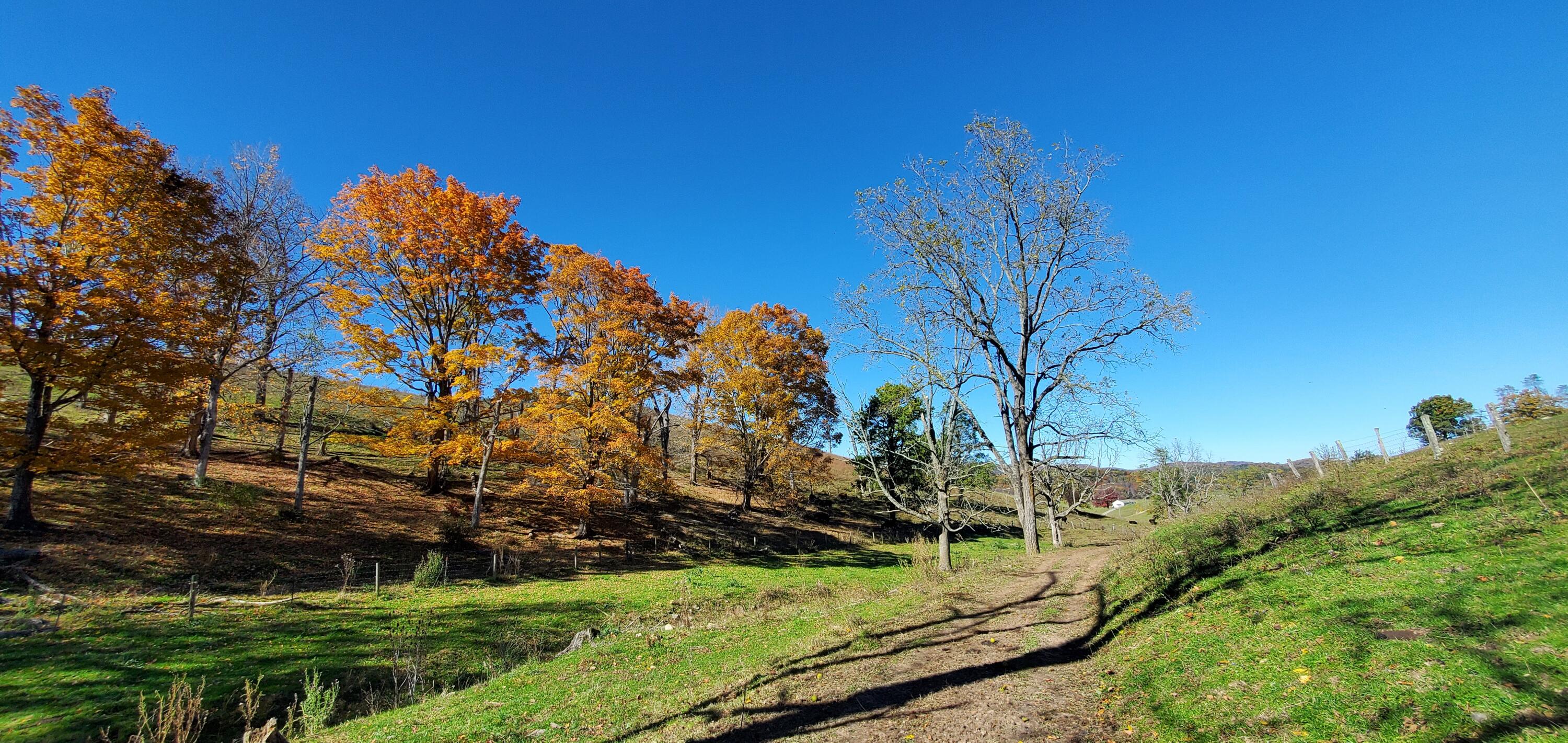 1500 Mountain Valley Rd, Gap Mills, West Virginia image 12