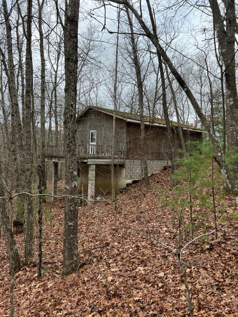 Homes For Sale - Wildcat Hill Rd<br/> Gap Mills, WV 24941