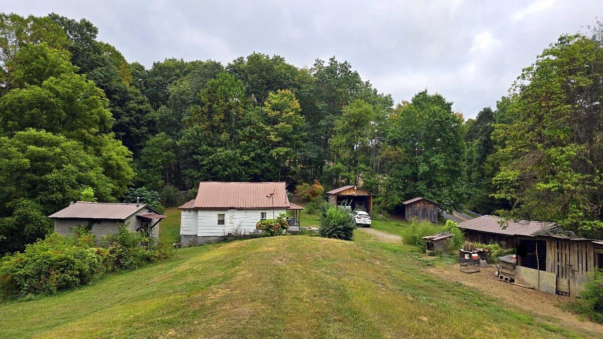 7828 Stephenson Basin Road, Mullens, West Virginia image 1