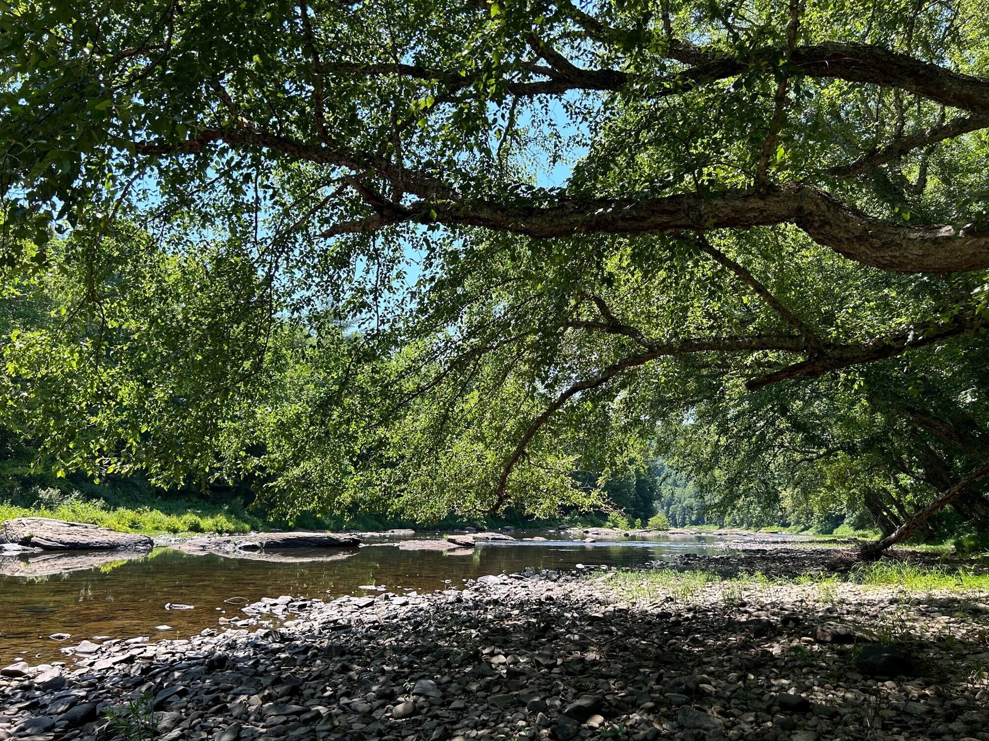 Lot 9 N Duncans Landing #9, Buckeye, West Virginia image 11
