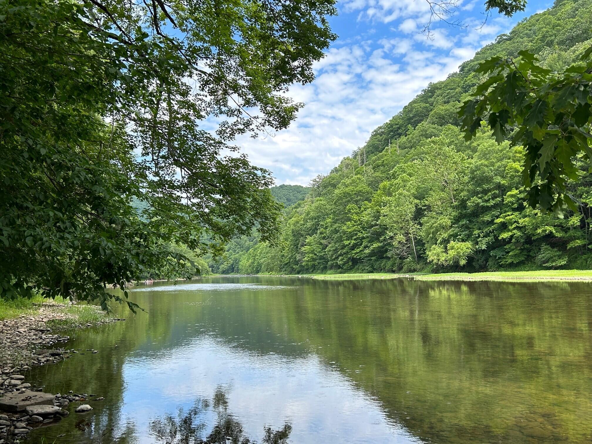 Lot 9 N Duncans Landing #9, Buckeye, West Virginia image 14