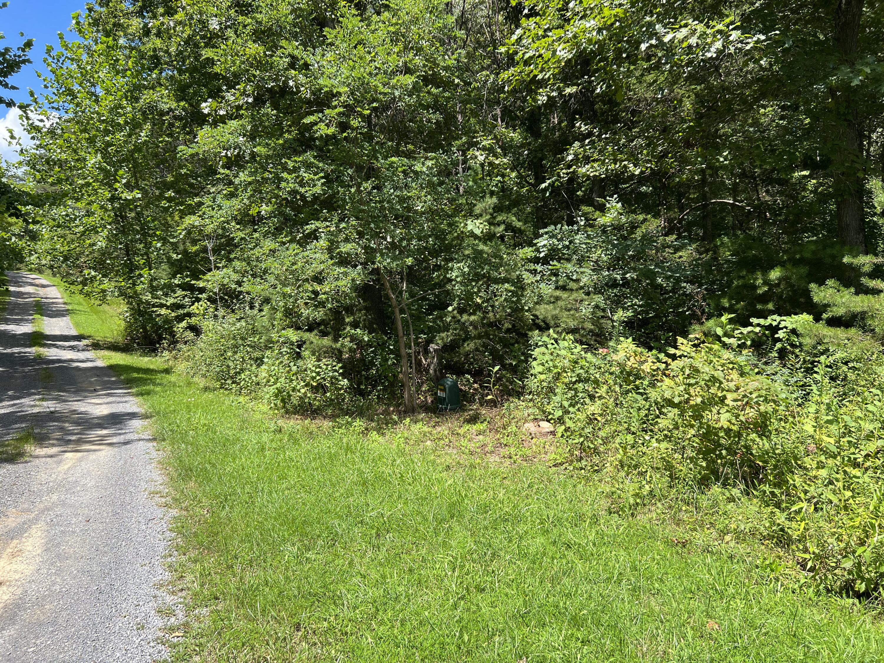 Grandview Drive #LOT 32, Forest Hill, West Virginia image 1