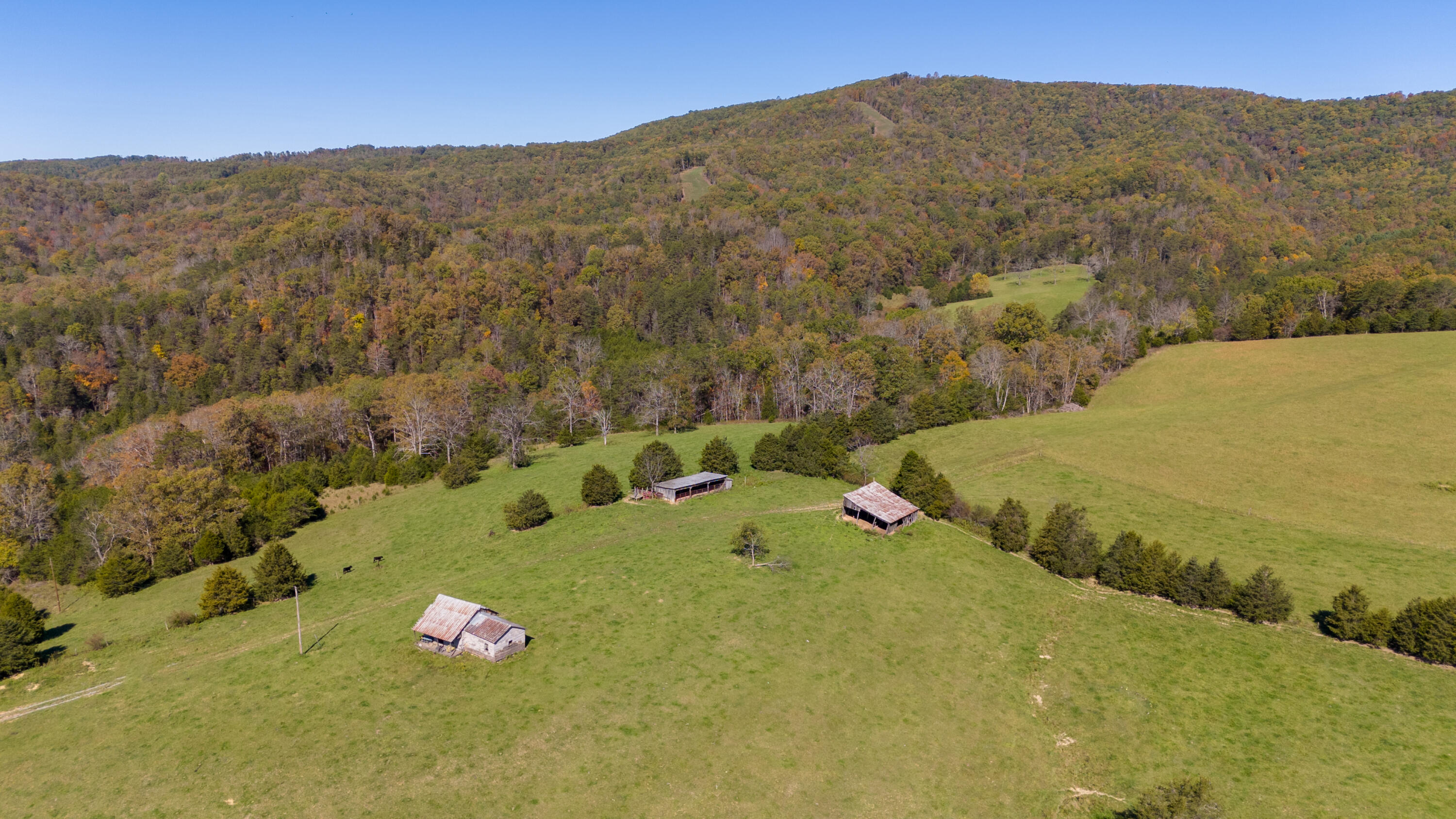 163 Slate Run Rd, Greenville, West Virginia image 40