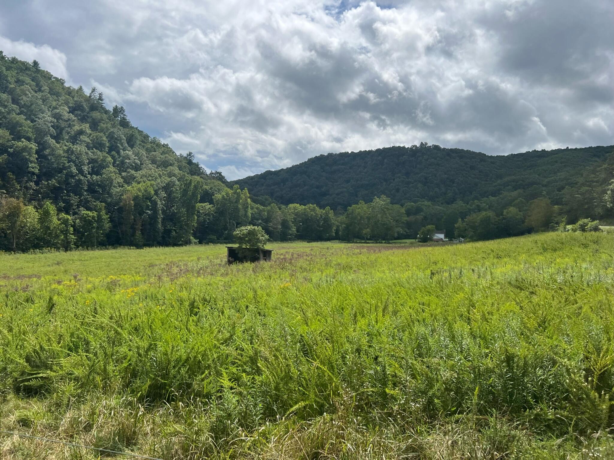 726 W Judson Rd, Hinton, West Virginia image 1