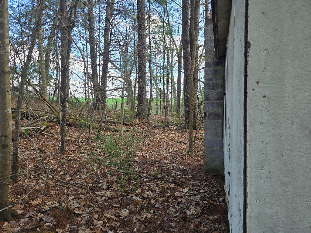 4194 Slab Camp Rd, Renick, West Virginia image 16