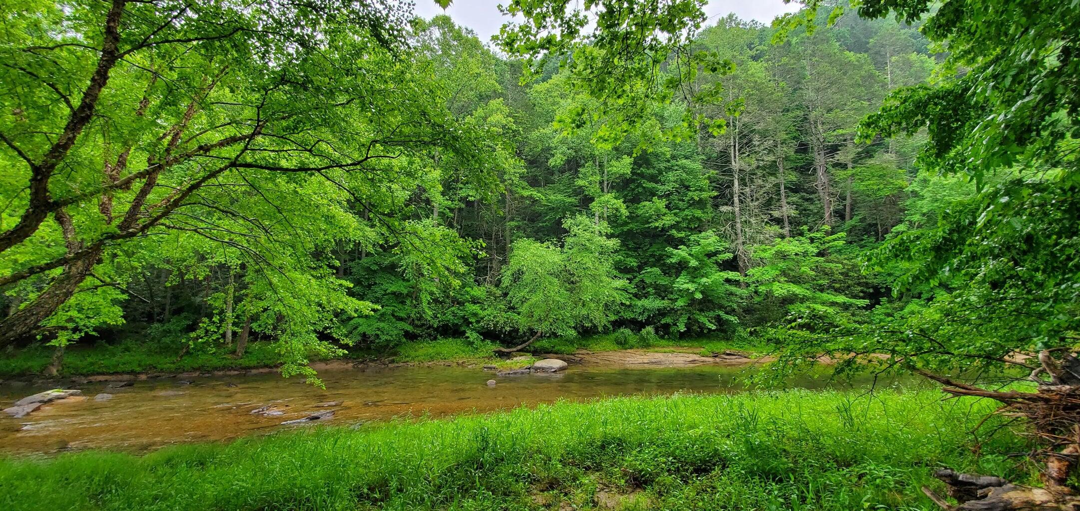 Island Property, Marlinton, West Virginia image 8