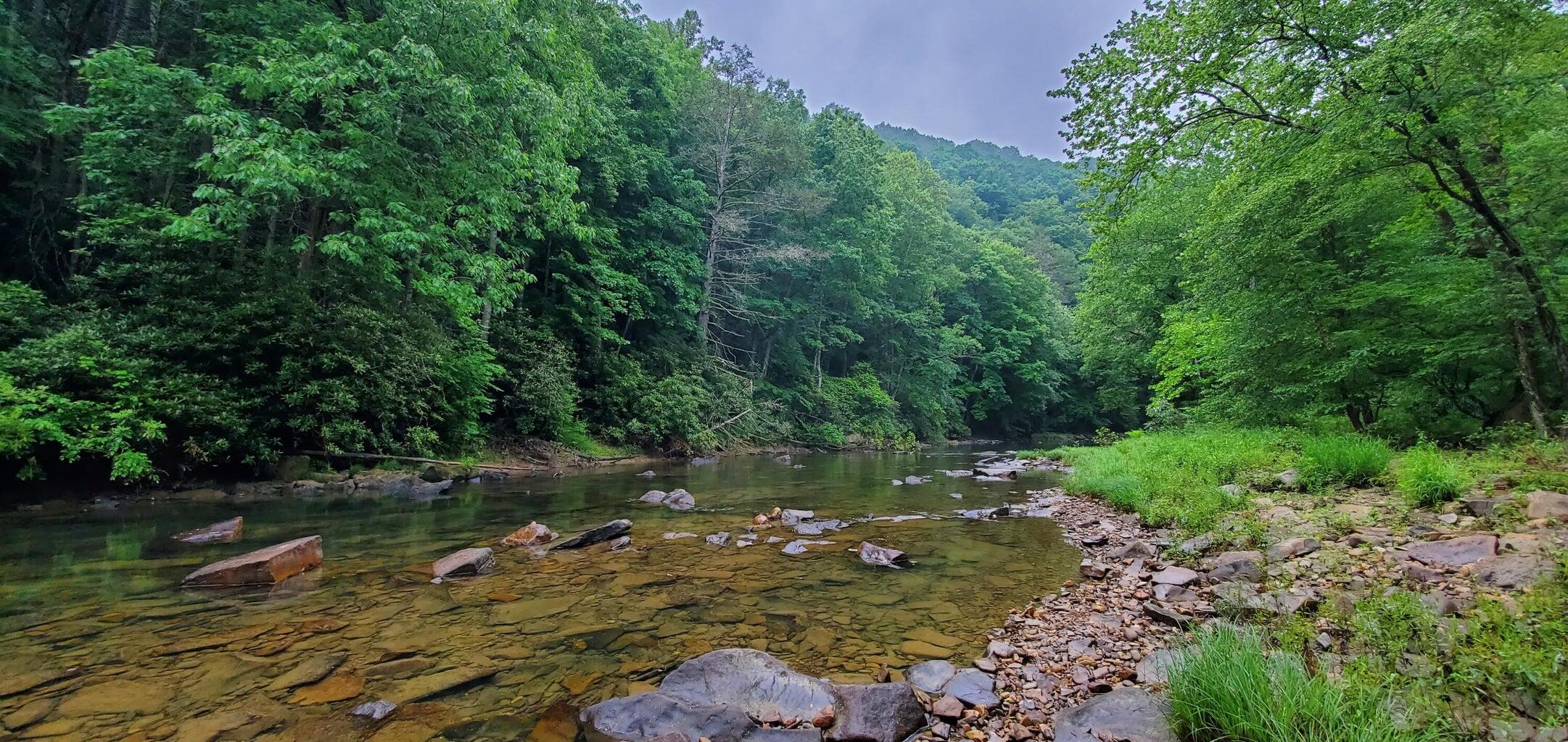 Island Property, Marlinton, West Virginia image 5