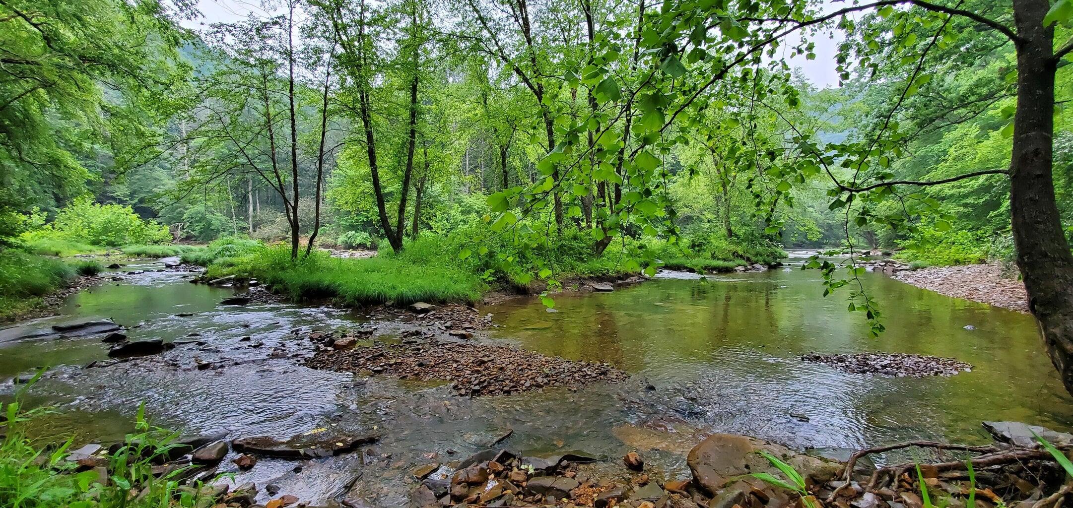 Island Property, Marlinton, West Virginia image 17