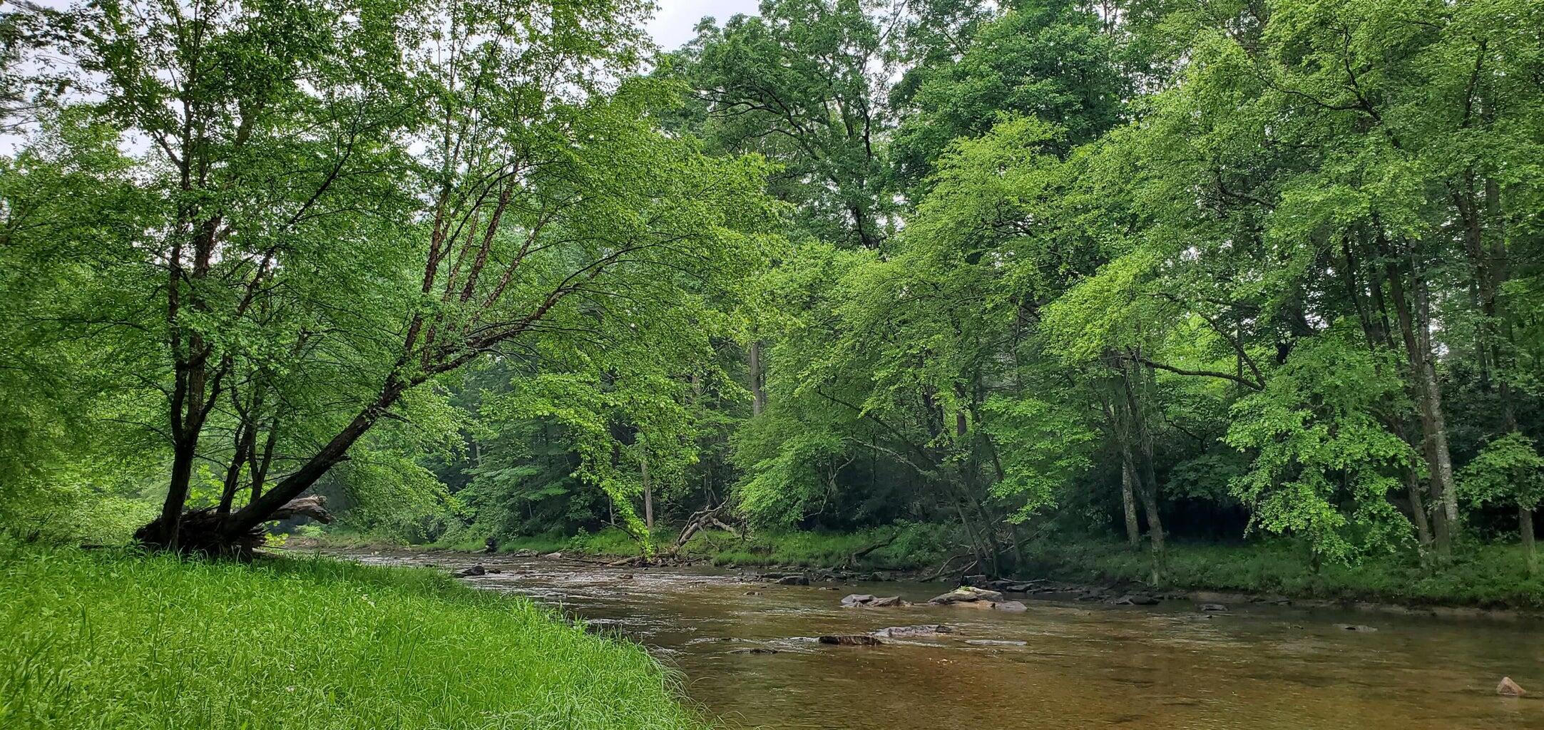 Island Property, Marlinton, West Virginia image 9